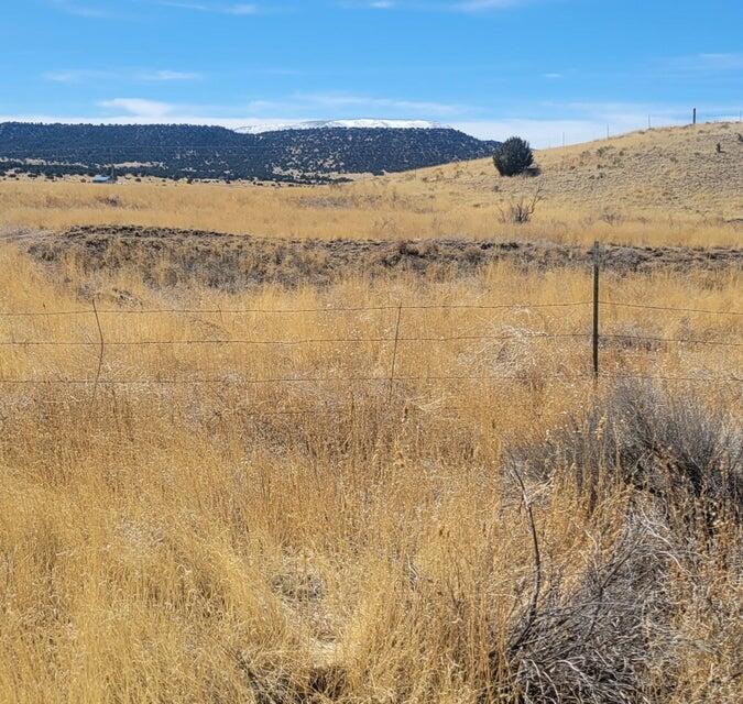 Xx Escudilla Drive, Quemado, New Mexico 87829, ,Land,For Sale,Xx Escudilla Drive,1059759