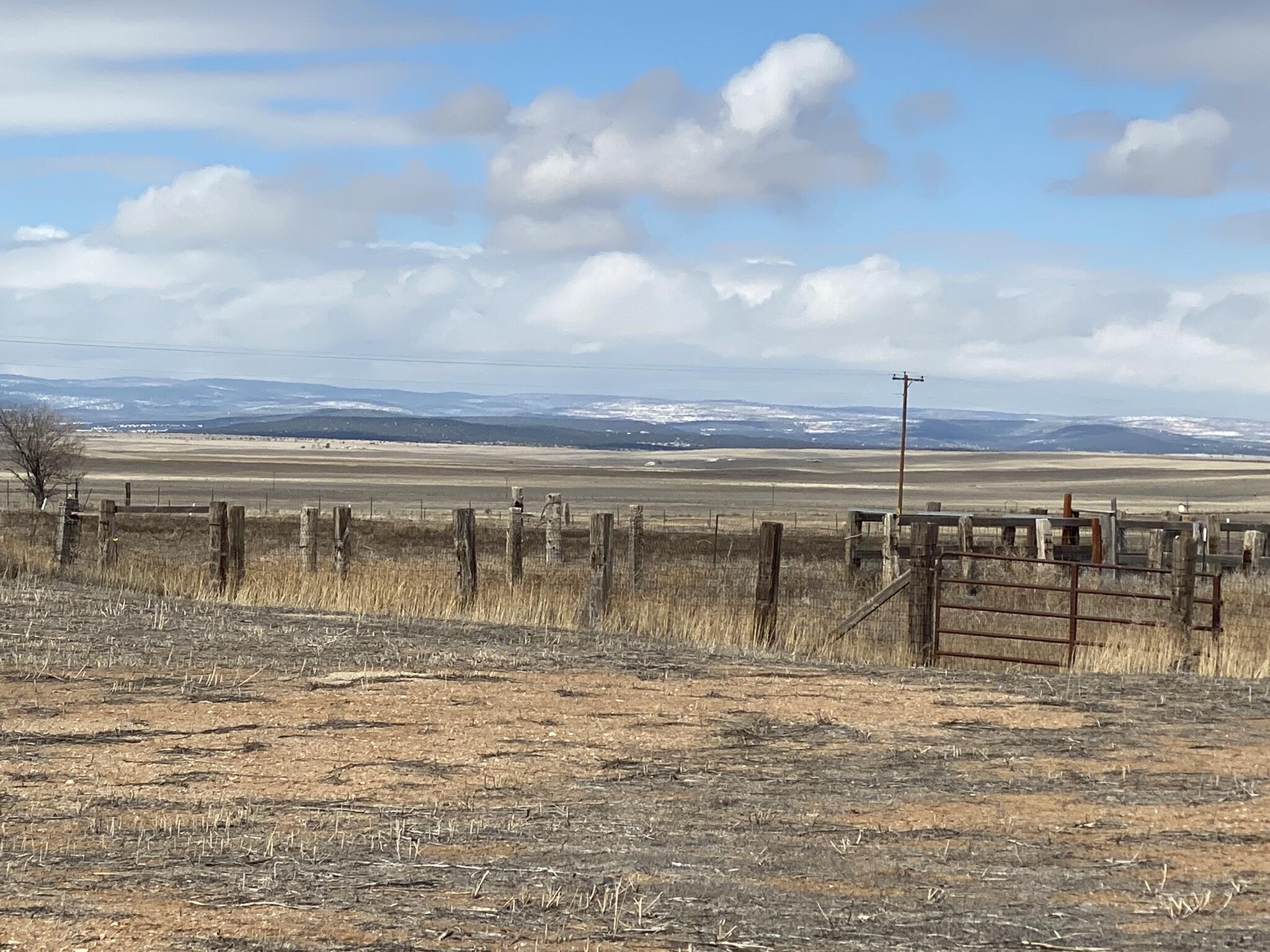 70 Akin Farm Road, Estancia, New Mexico 87016, ,Farm,For Sale,70 Akin Farm Road,1059798