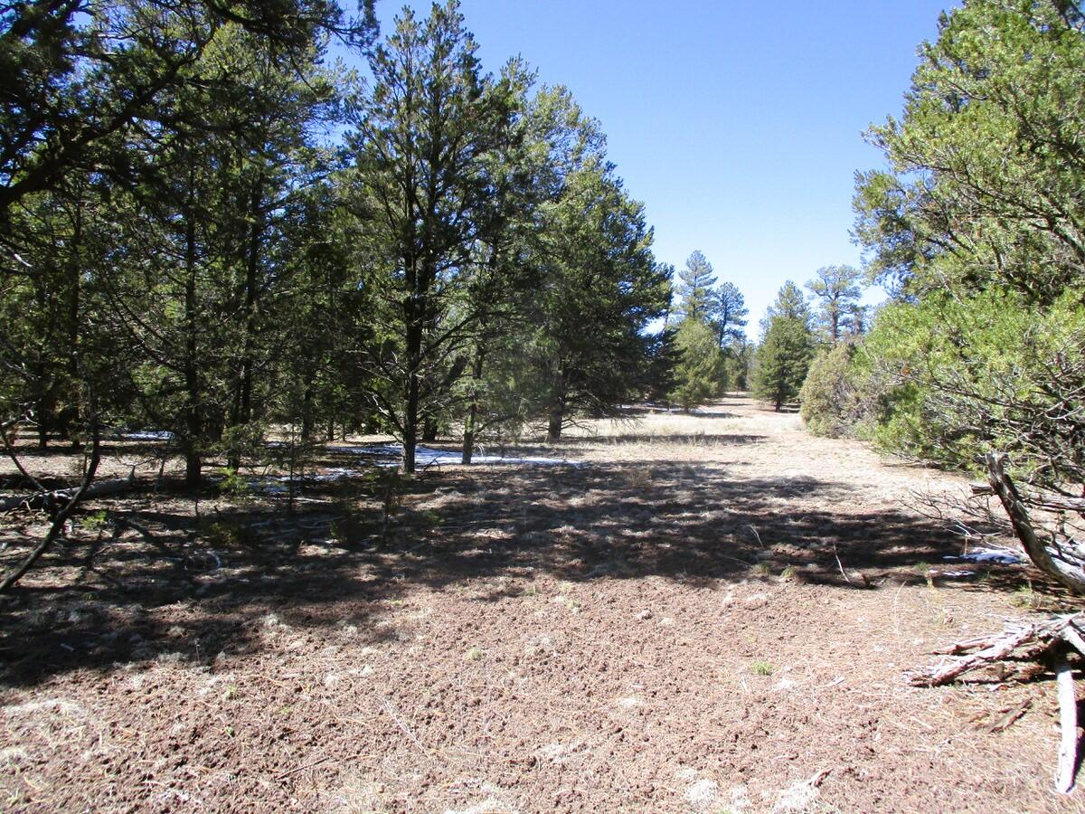 Lot 5 Copperweed Road, Ramah, NM 