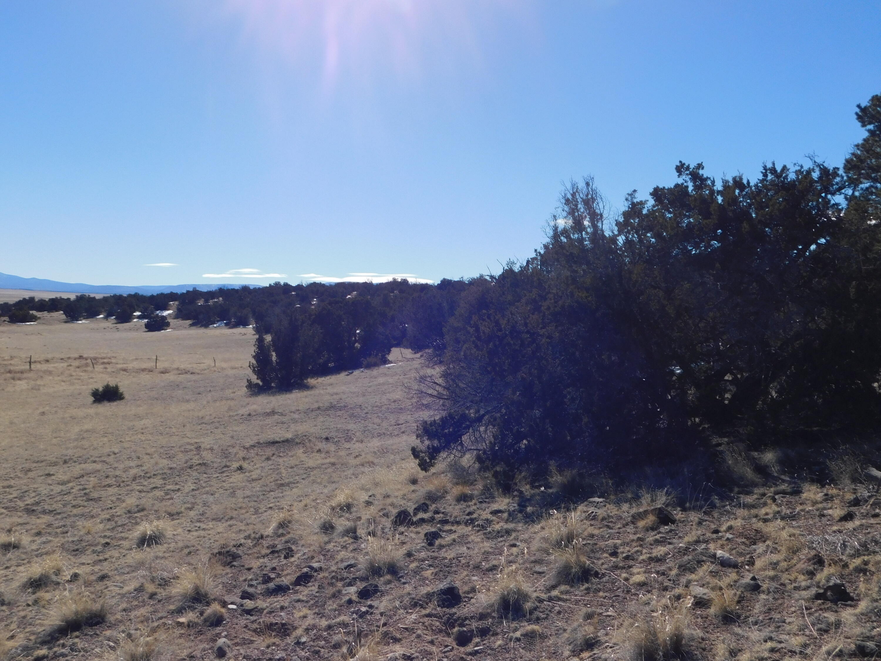 189 Bridle Path, Quemado, New Mexico 87829, ,Land,For Sale,189 Bridle Path,1060273
