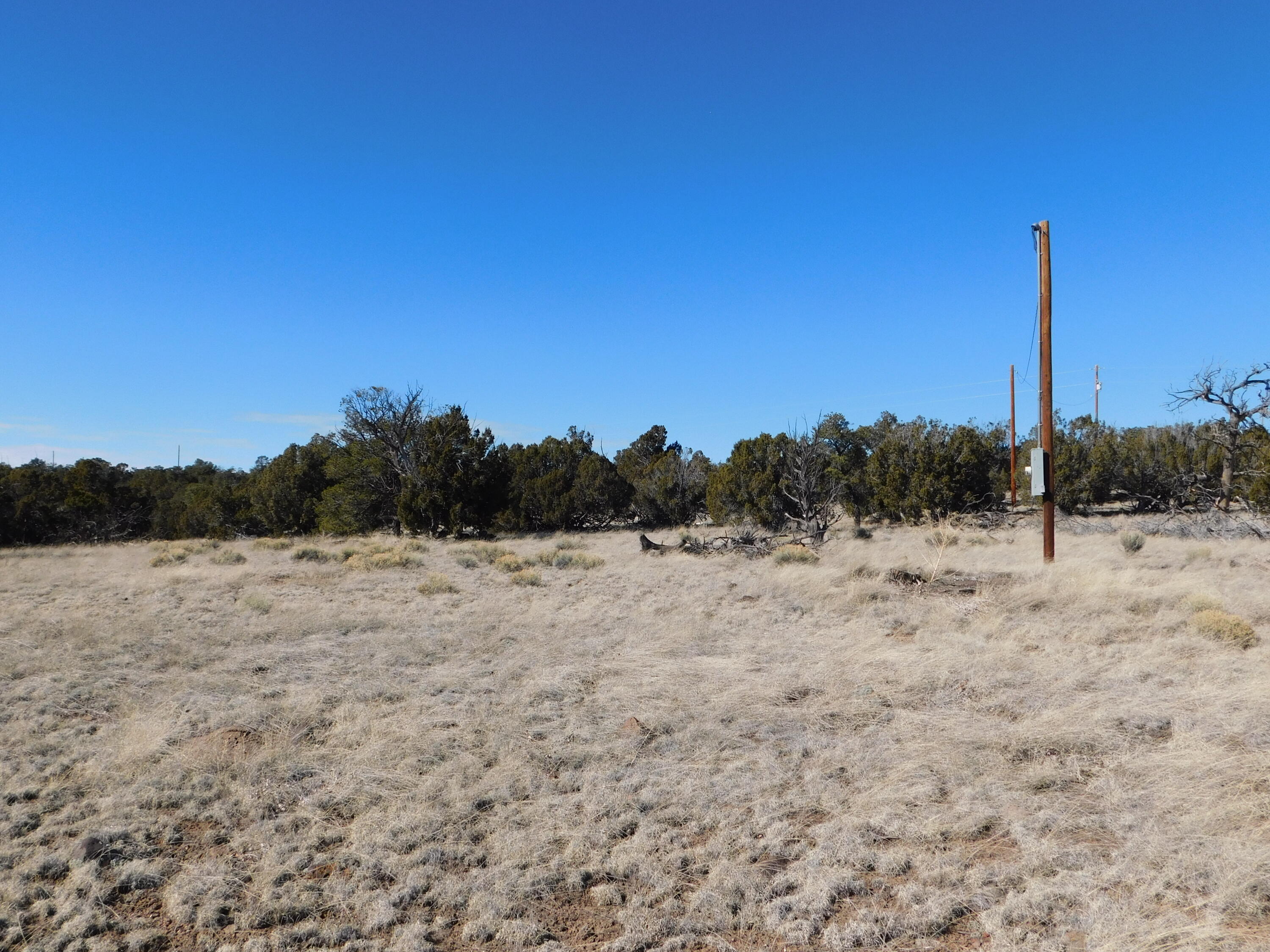 189 Bridle Path, Quemado, New Mexico 87829, ,Land,For Sale,189 Bridle Path,1060273