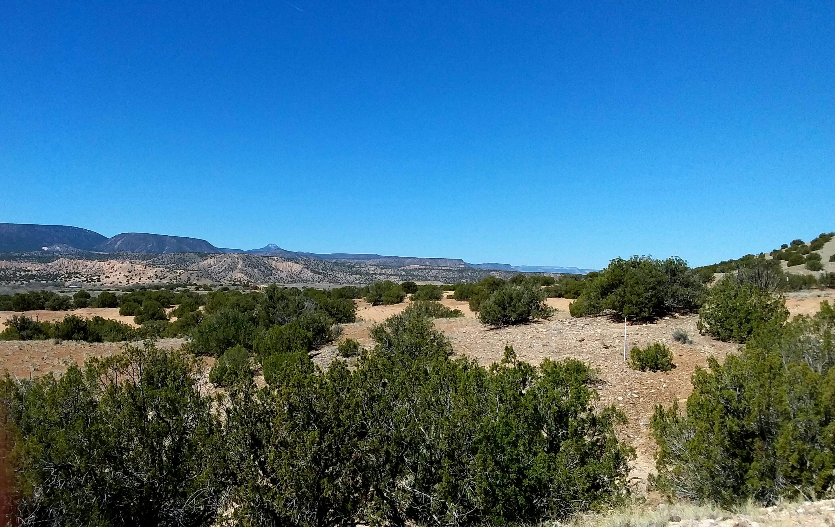 691 County Rd 142, Abiquiu, New Mexico 87510, ,Farm,For Sale,691 County Rd 142,1060703