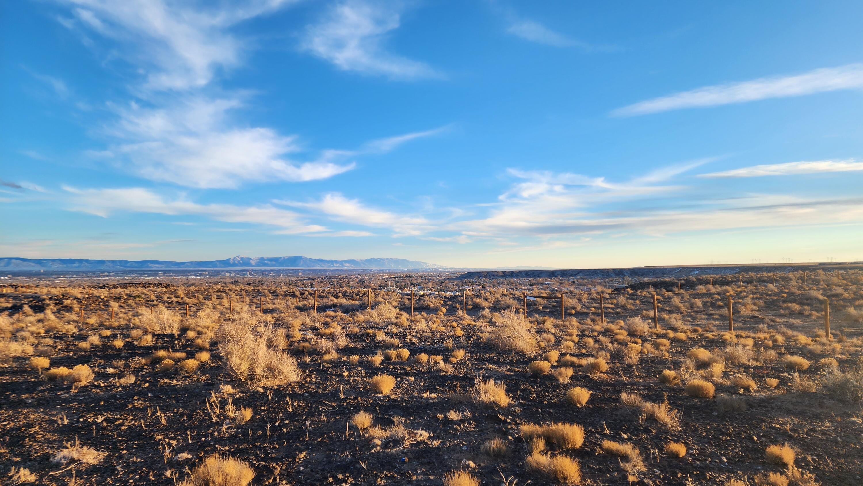 Lot 20 Don Julio Road, Corrales, New Mexico 87048, ,Land,For Sale,Lot 20 Don Julio Road,1060713