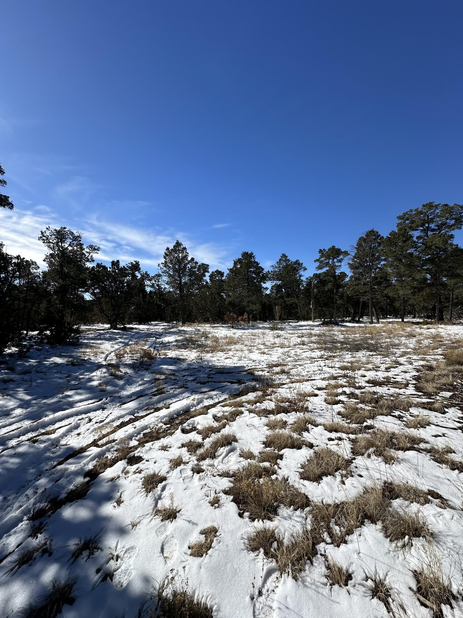 18 High Noon, Edgewood, New Mexico 87015, ,Land,For Sale,18 High Noon,1060946