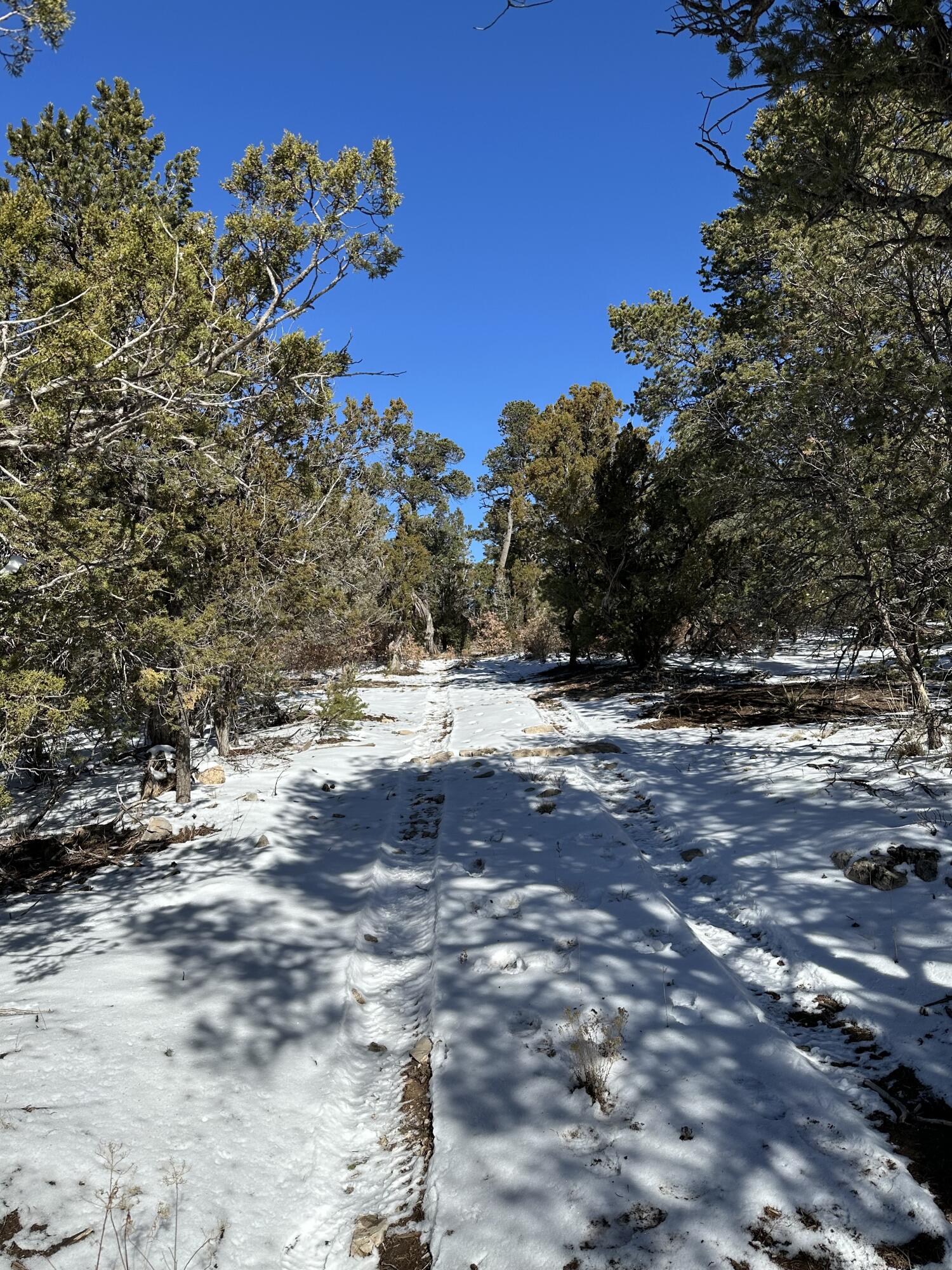 18 High Noon, Edgewood, New Mexico 87015, ,Land,For Sale,18 High Noon,1060946