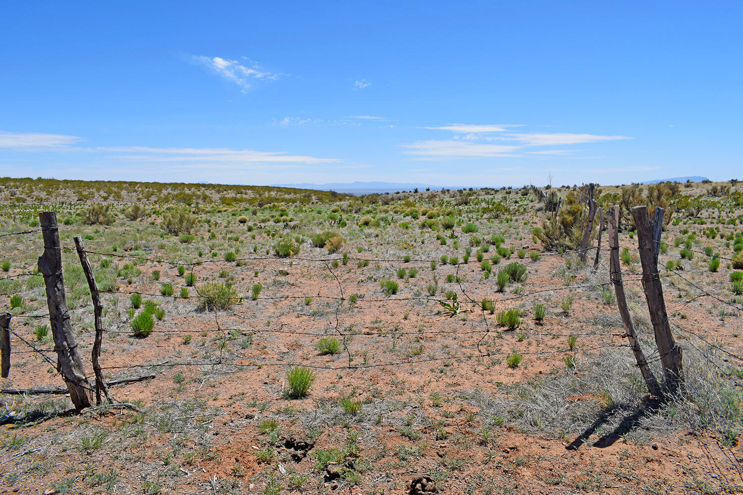 Lot 380 High Chaparral Road, San Antonio, New Mexico 87832, ,Land,For Sale,Lot 380 High Chaparral Road,1060956