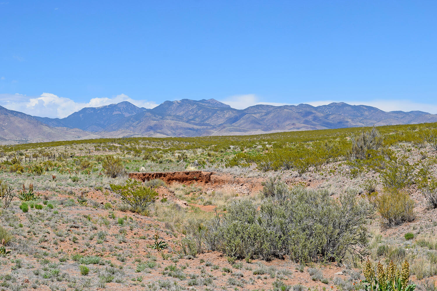 Lot 380 High Chaparral Road, San Antonio, New Mexico 87832, ,Land,For Sale,Lot 380 High Chaparral Road,1060956