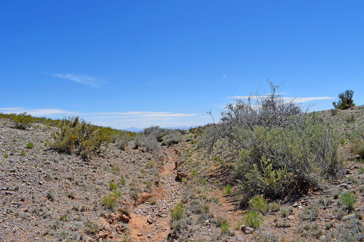 Lot 380 High Chaparral Road, San Antonio, New Mexico 87832, ,Land,For Sale,Lot 380 High Chaparral Road,1060956