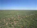 Palomino Dr (Lot 23), Moriarty, New Mexico 87035, ,Land,For Sale, Palomino Dr (Lot 23),1060973