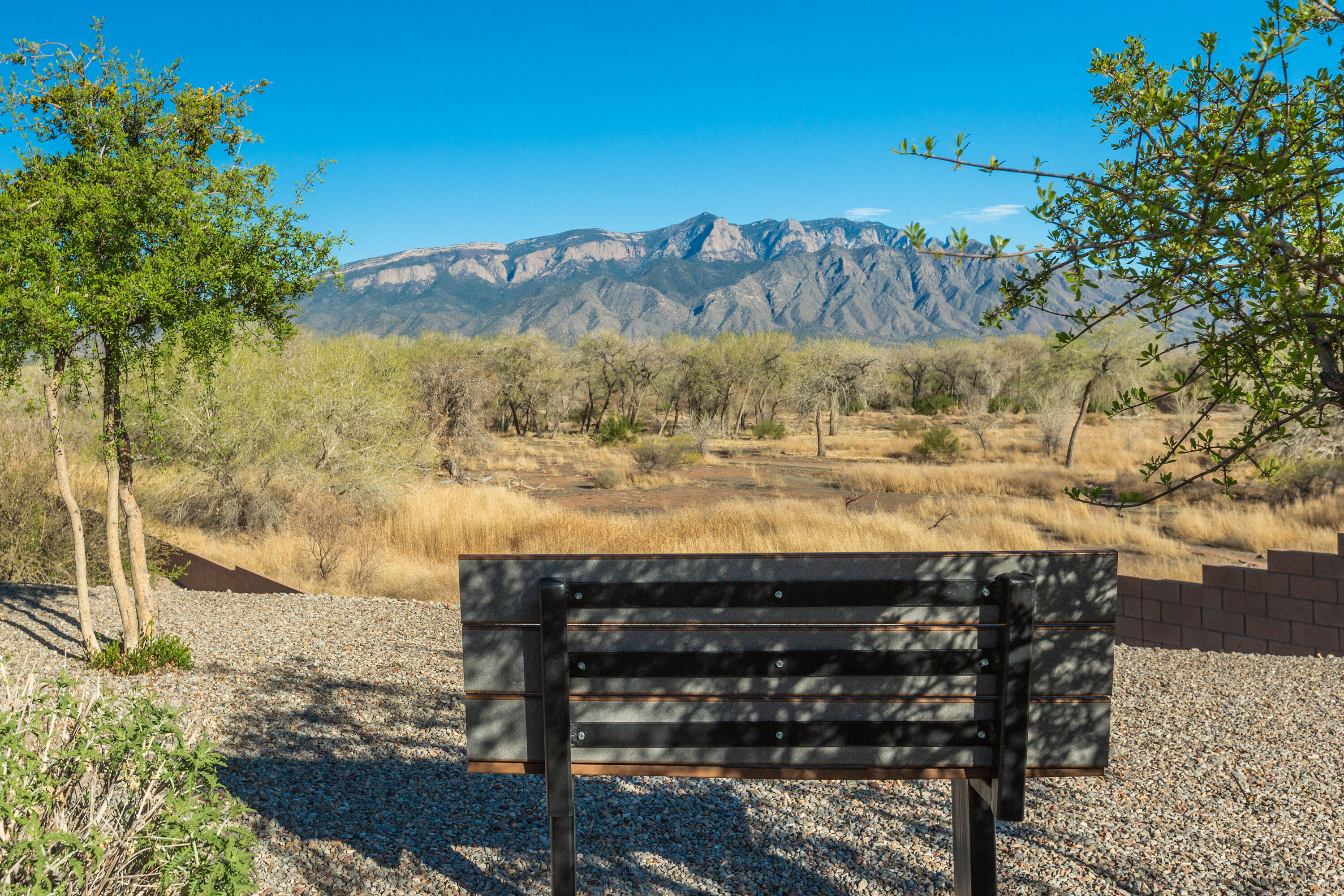 1012 Desert Willow Court, Bernalillo, New Mexico 87004, 2 Bedrooms Bedrooms, ,2 BathroomsBathrooms,Residential,For Sale,1012 Desert Willow Court,1060980