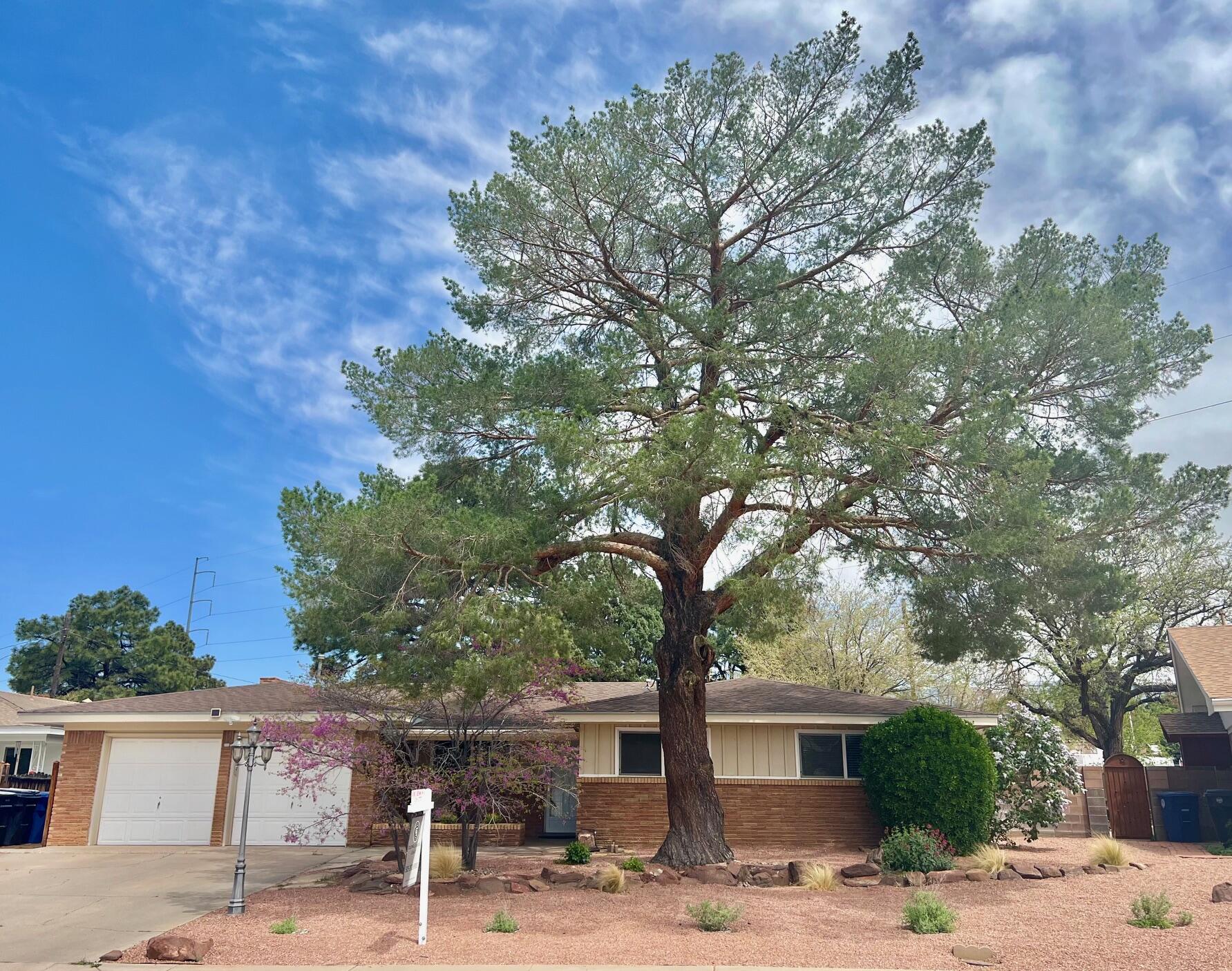 Don't miss this rare home on .27 acres with a spectacular park-like backyard and additional casita! The well maintained home has 3 bedrooms and 2-3/4 baths. Enjoy the spacious open concept kitchen/living/dining area plus a large den with a cozy fireplace and a roomy sunroom overlooking the landscaped backyard with partial Sandia views. The studio casita has a kitchen, full bath, and laundry hookup. Move in ready with room indoors and out for your additions - chicken coop or play structure? This joyful propertry is a delight with raised beds, massive evergreens, fruit trees , storage galore, and an established, great neighborhood, close to restaurants, shopping and fine schools. Insulating windows, Heating/Refrigerated Air Unit - 2022, huge pantry, tile and laminate floors, 2 car garage.