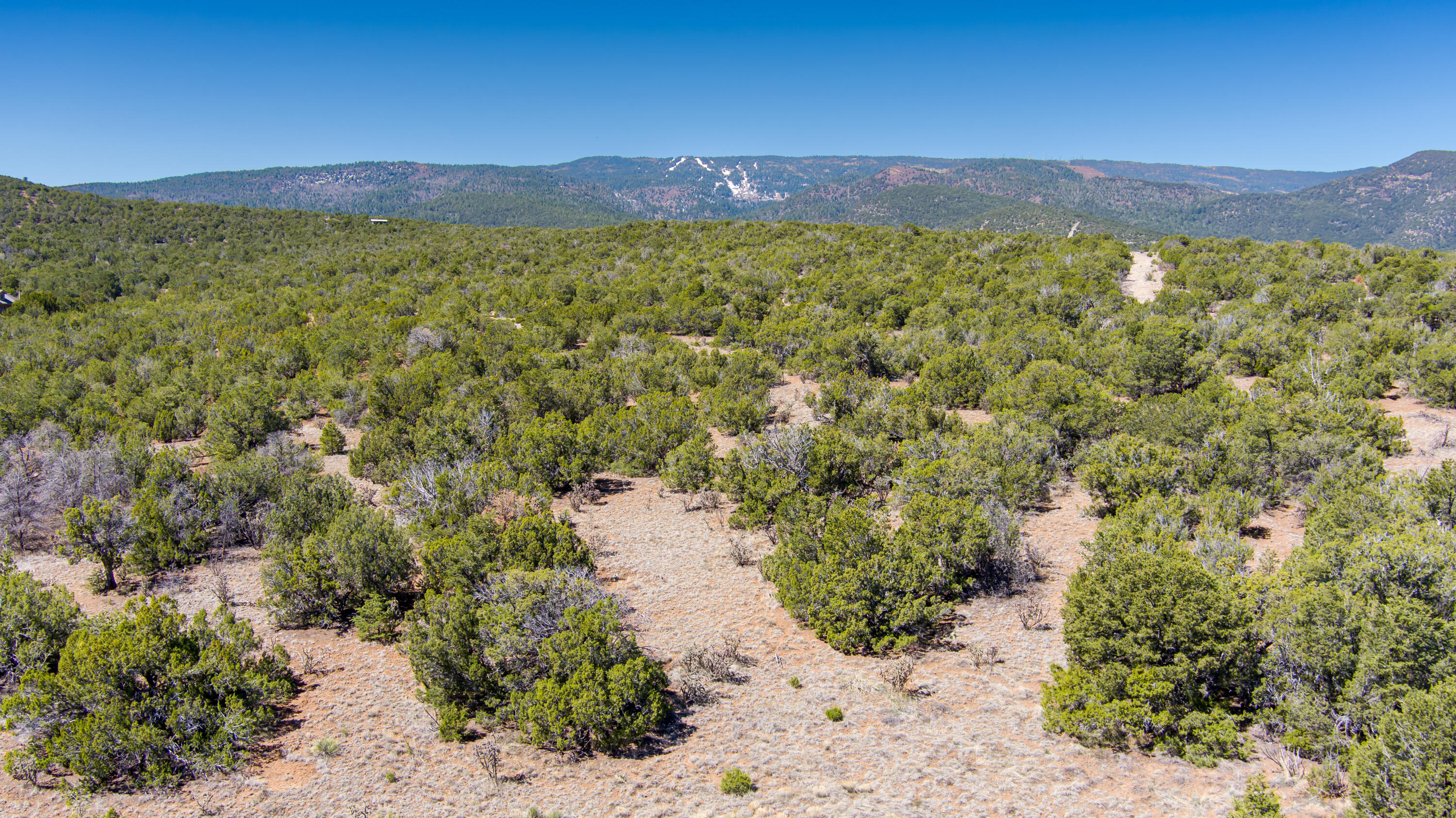 23 Canon Escondido, Sandia Park, New Mexico 87047, ,Land,For Sale,23 Canon Escondido,1061194