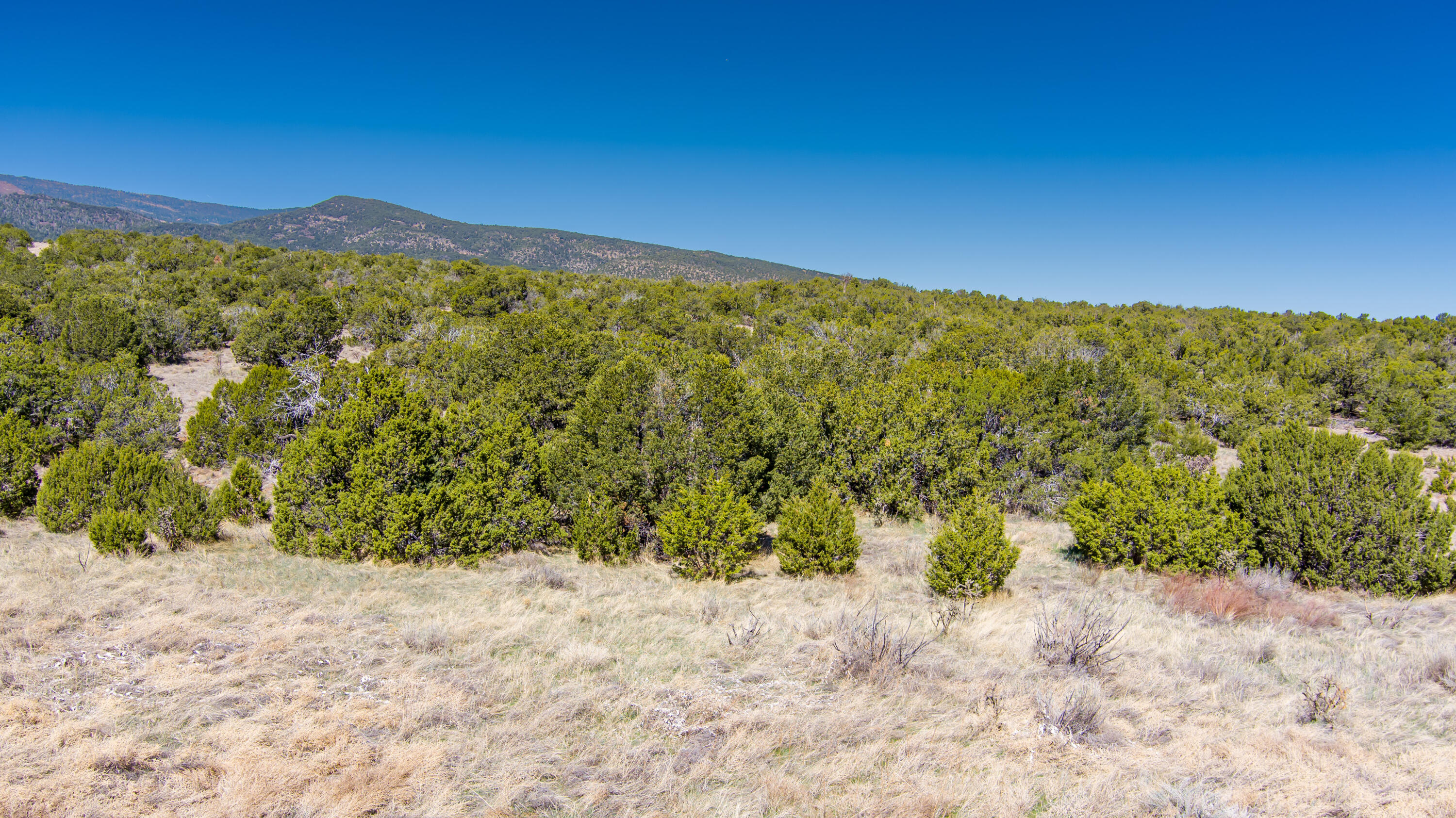 23 Canon Escondido, Sandia Park, New Mexico 87047, ,Land,For Sale,23 Canon Escondido,1061194