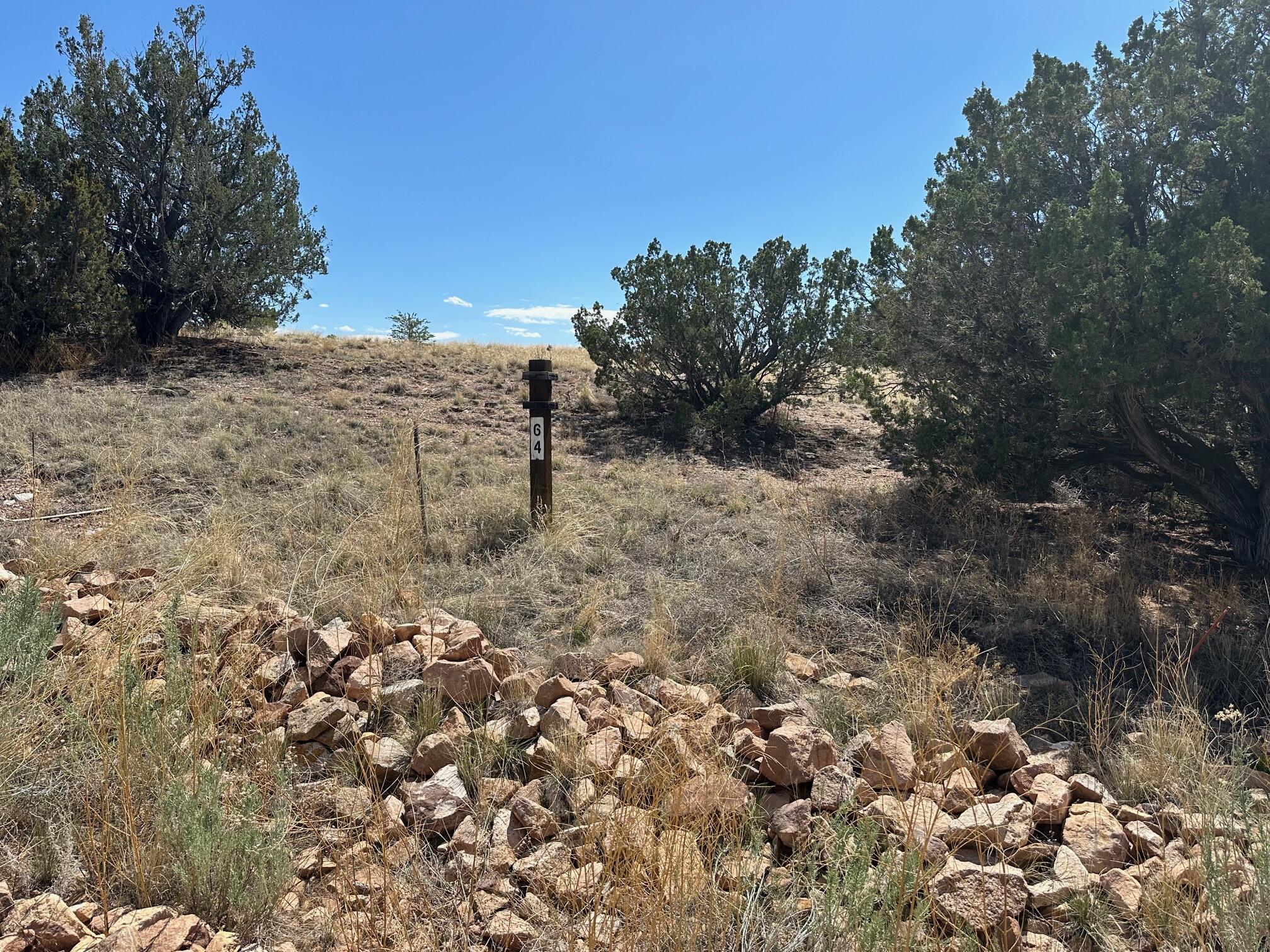 64 Goldmine Trail, Sandia Park, New Mexico 87047, ,Land,For Sale,64 Goldmine Trail,1061216