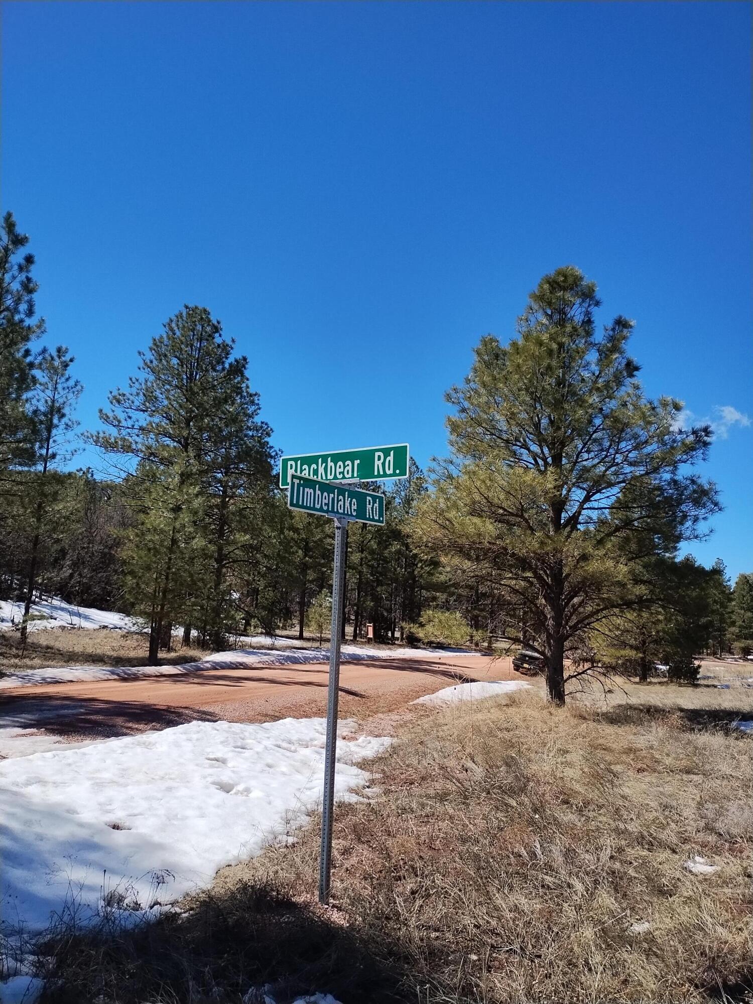 Timberlake/Black Bear, Ramah, New Mexico 87321, ,Land,For Sale, Timberlake/Black Bear,1061241