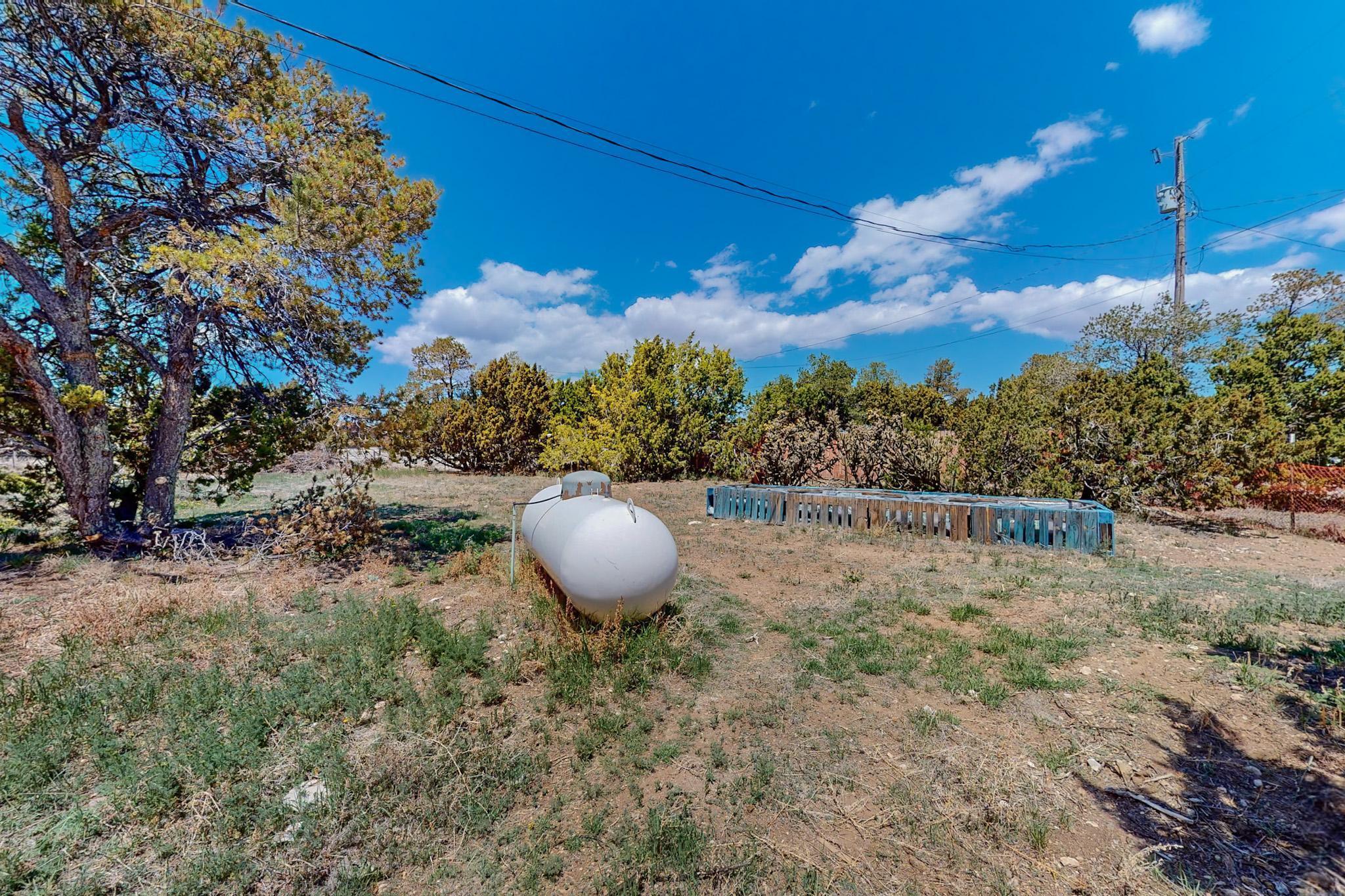 17 A E Willard Road, Edgewood, New Mexico 87015, 3 Bedrooms Bedrooms, ,2 BathroomsBathrooms,Residential,For Sale,17 A E Willard Road,1061275