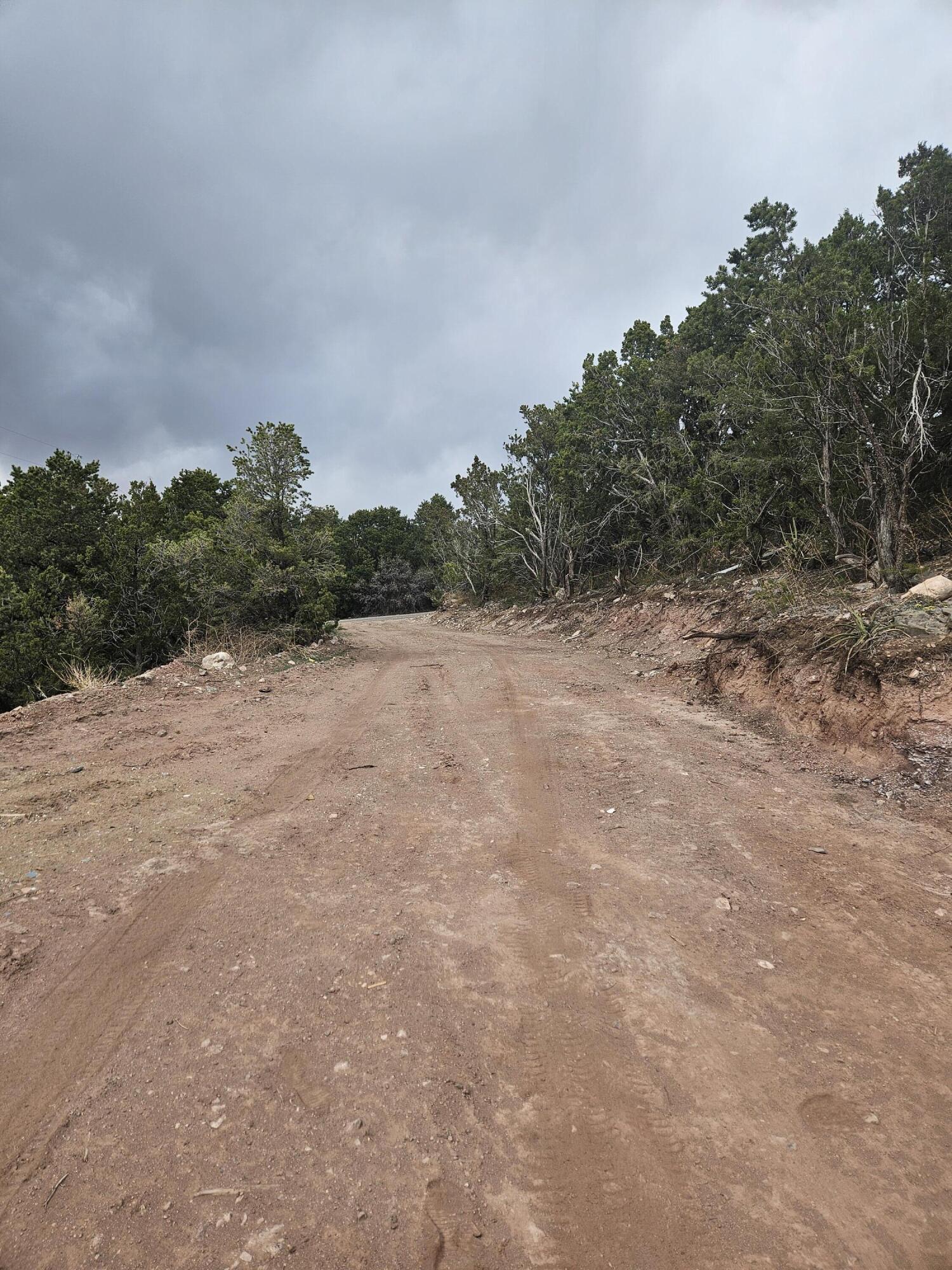 36 Pinon Heights Road, Sandia Park, New Mexico 87047, ,Land,For Sale,36 Pinon Heights Road,1061283
