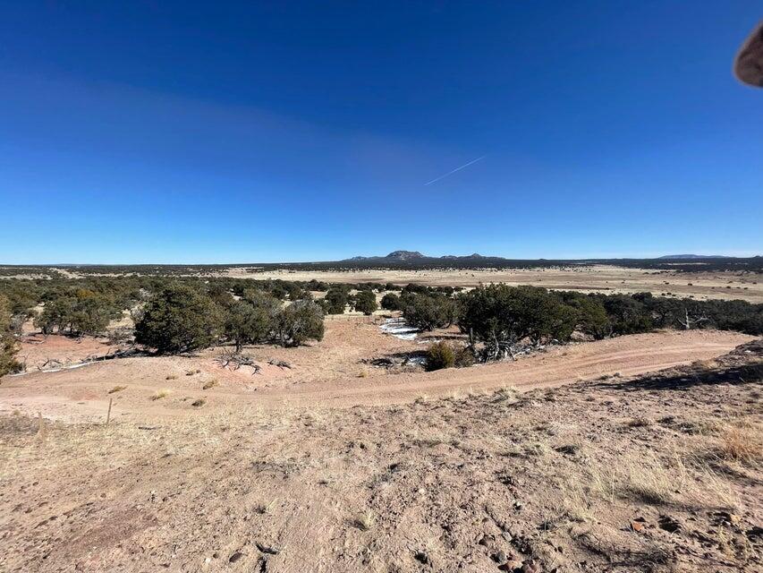 319 Hwy 603, Pie Town, New Mexico 87827, ,Land,For Sale,319 Hwy 603,1061422