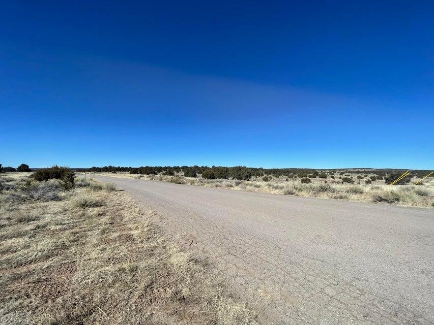 319 Hwy 603, Pie Town, New Mexico 87827, ,Land,For Sale,319 Hwy 603,1061422