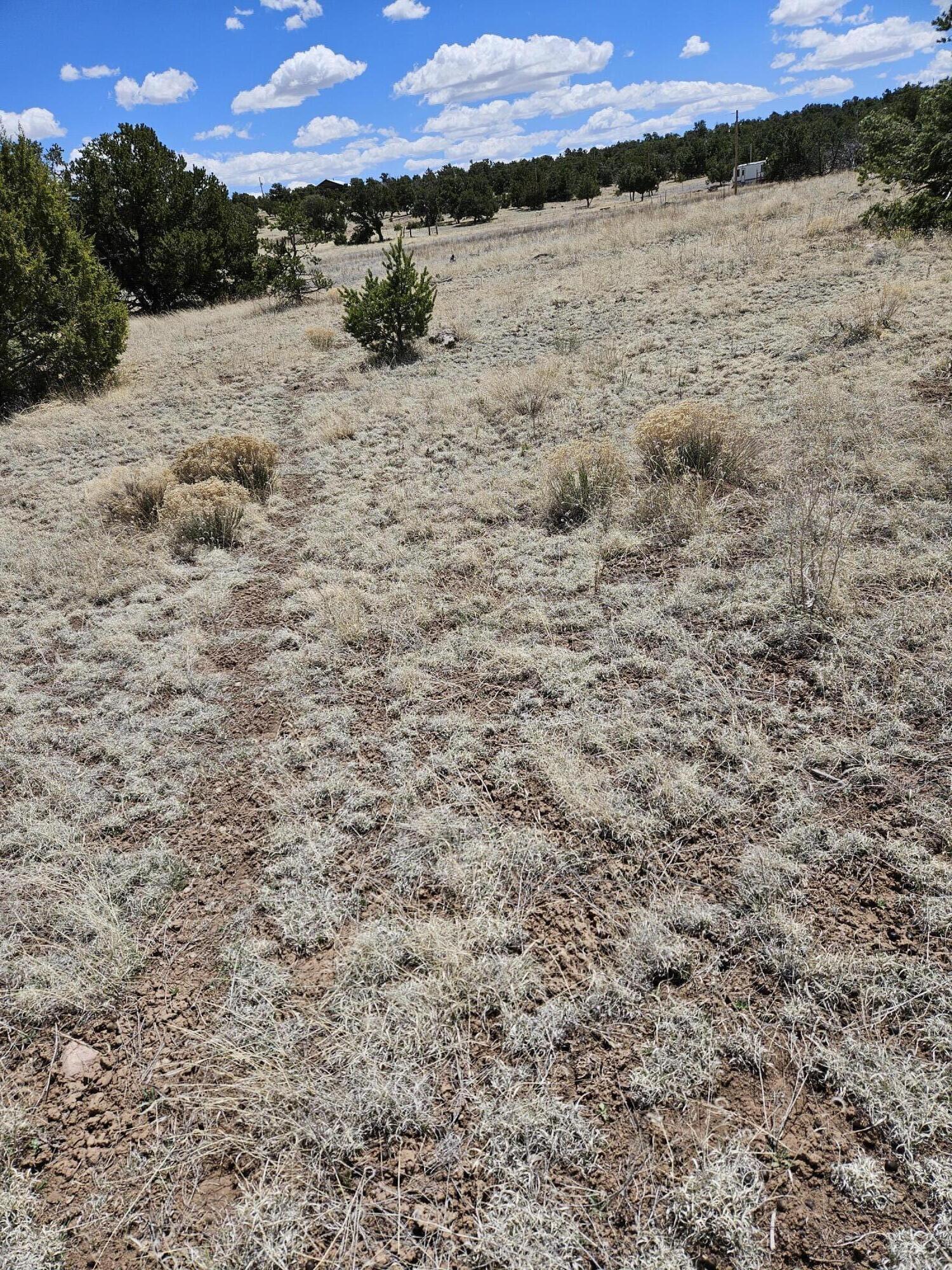 00 Tee Pee Trail, Reserve, New Mexico 87830, ,Land,For Sale,00 Tee Pee Trail,1061258