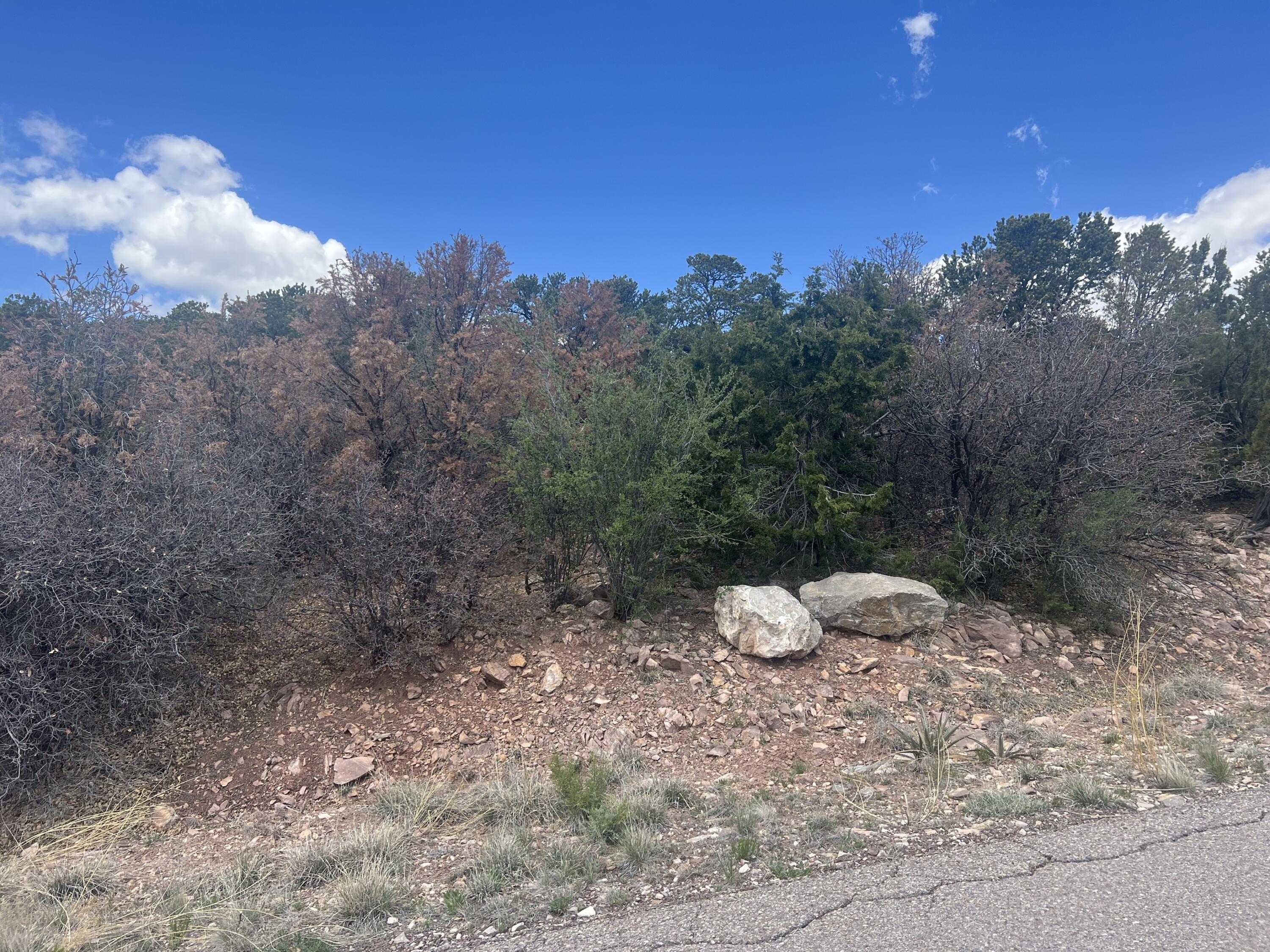 Zane Drive, Sandia Park, New Mexico 87047, ,Land,For Sale, Zane Drive,1061490
