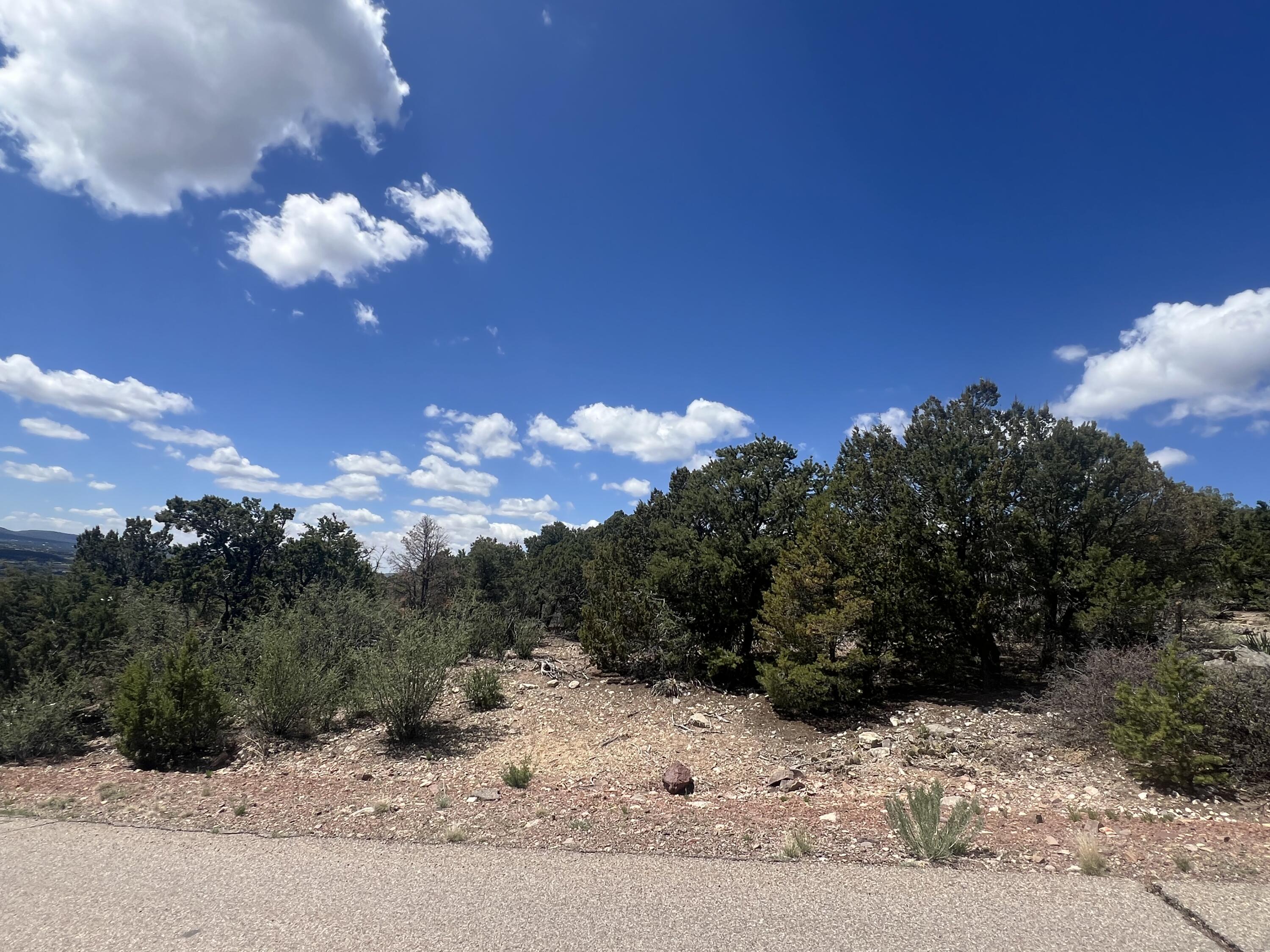 Zane Drive, Sandia Park, New Mexico 87047, ,Land,For Sale, Zane Drive,1061490
