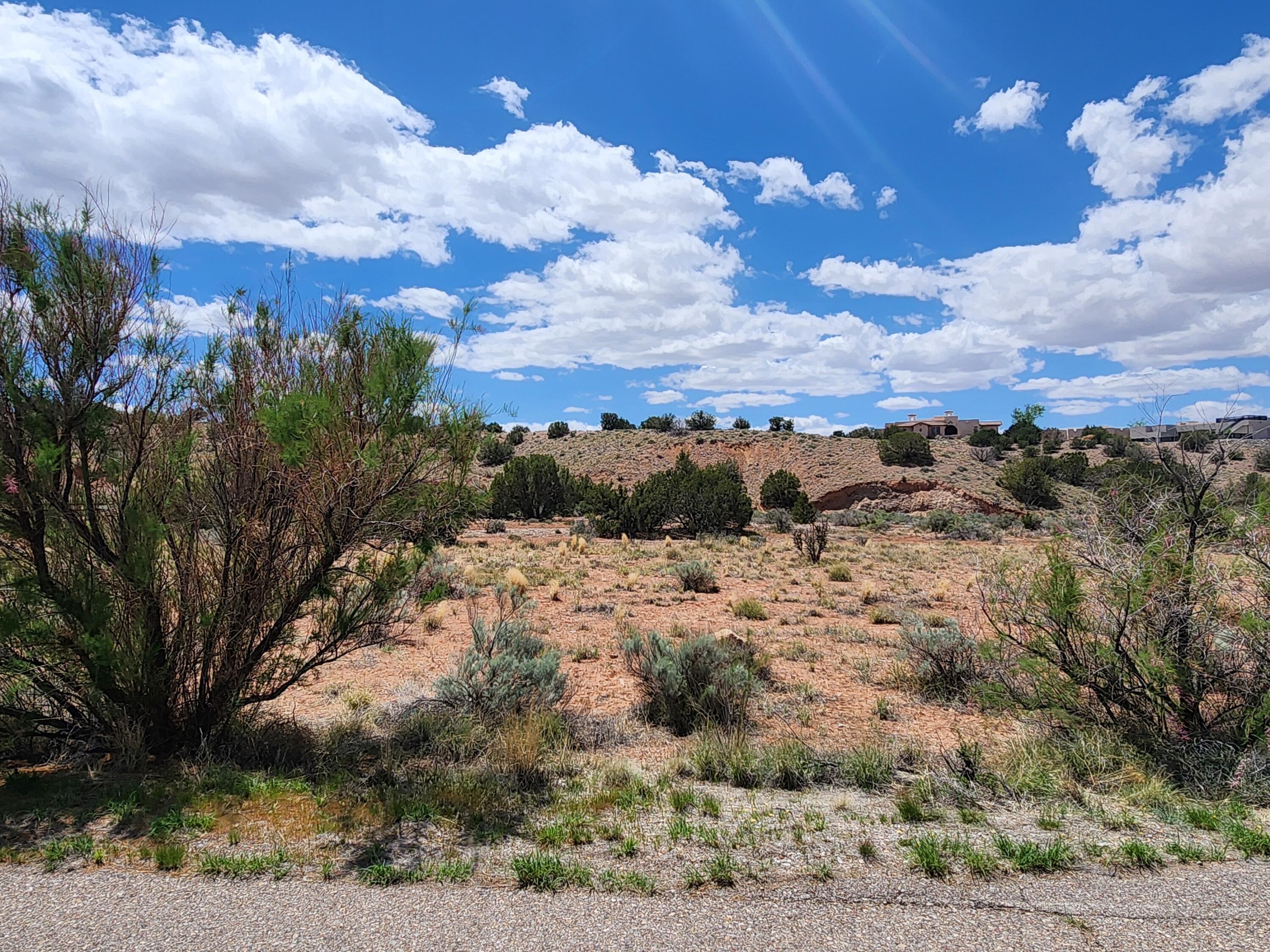 15 Petroglyph Trail, Placitas, New Mexico 87043, ,Land,For Sale,15 Petroglyph Trail,1061507