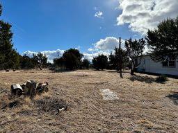 306 S West Side City Limit Rd Road, Mountainair, New Mexico 87036, 3 Bedrooms Bedrooms, ,2 BathroomsBathrooms,Residential,For Sale,306 S West Side City Limit Rd Road,1061542