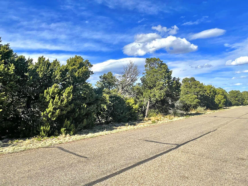 197 Via Sedillo Road, Tijeras, New Mexico 87059, ,Land,For Sale,197 Via Sedillo Road,1061576