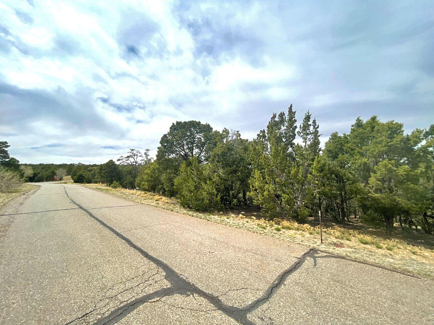 197 Via Sedillo Road, Tijeras, New Mexico 87059, ,Land,For Sale,197 Via Sedillo Road,1061576