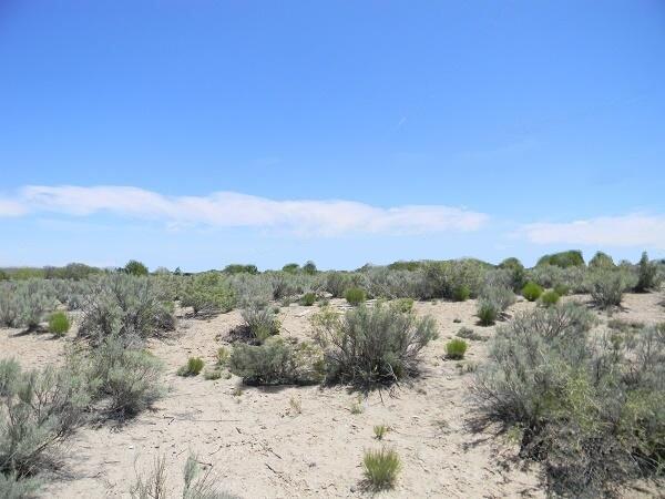 4th St. Street SW, Rio Rancho, New Mexico 87124, ,Land,For Sale, 4th St. Street SW,1062198