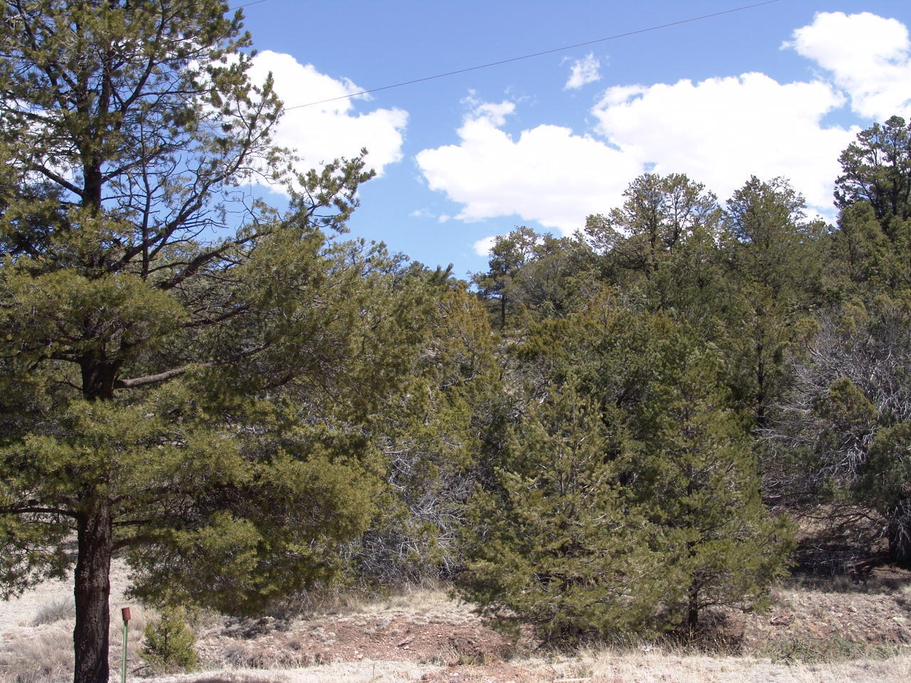 86 Ranch Road, Datil, New Mexico 87821, ,Land,For Sale,86 Ranch Road,1062254
