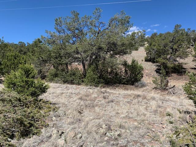 86 Ranch Road, Datil, New Mexico 87821, ,Land,For Sale,86 Ranch Road,1062254