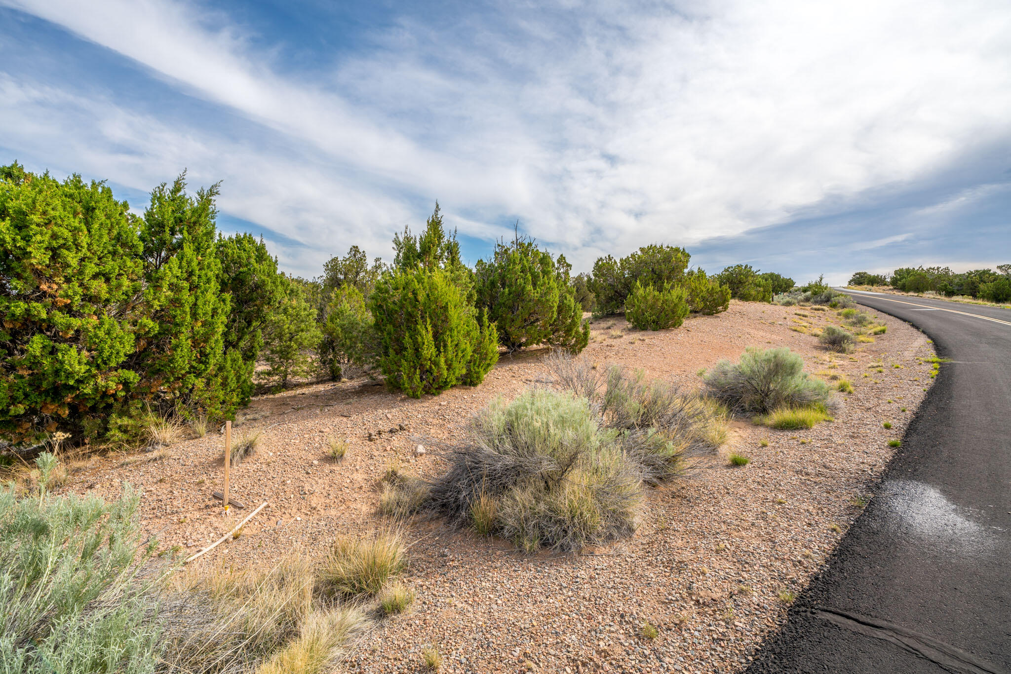 25 Stage Coach Trail, Sandia Park, New Mexico 87047, ,Land,For Sale,25 Stage Coach Trail,1062263