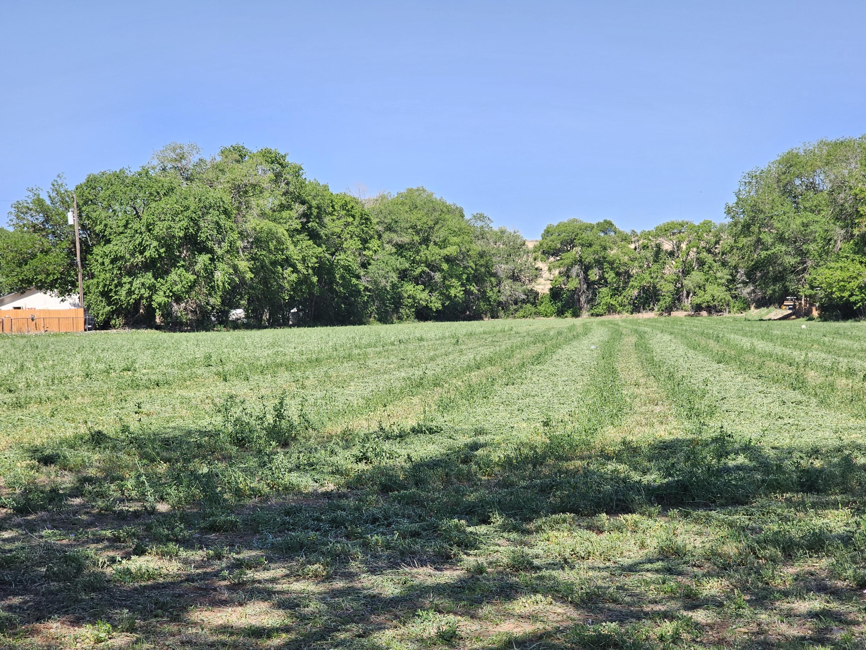 Discover the potential of this expansive 5-acre alfalfa field, perfectly suited for a variety of uses. Zoned A-1 agricultural with coveted ditch irrigation rights (JR water rights), this property offers a rare chance to realize your dreams. Whether you envision subdividing, farming, building your dream home, cultivating an urban farm, or hosting memorable events like parties or weddings, the possibilities are endless.On the property stands a versatile 2500 +/- sq/ft building, boasting a history of accommodating various businesses under conditional use permits. Currently permitted for a church with no expiration, the building includes ample parking, a domestic shallow well, and connectivity to city sewer and electricity.Conveniently located just a 5-minute drive from