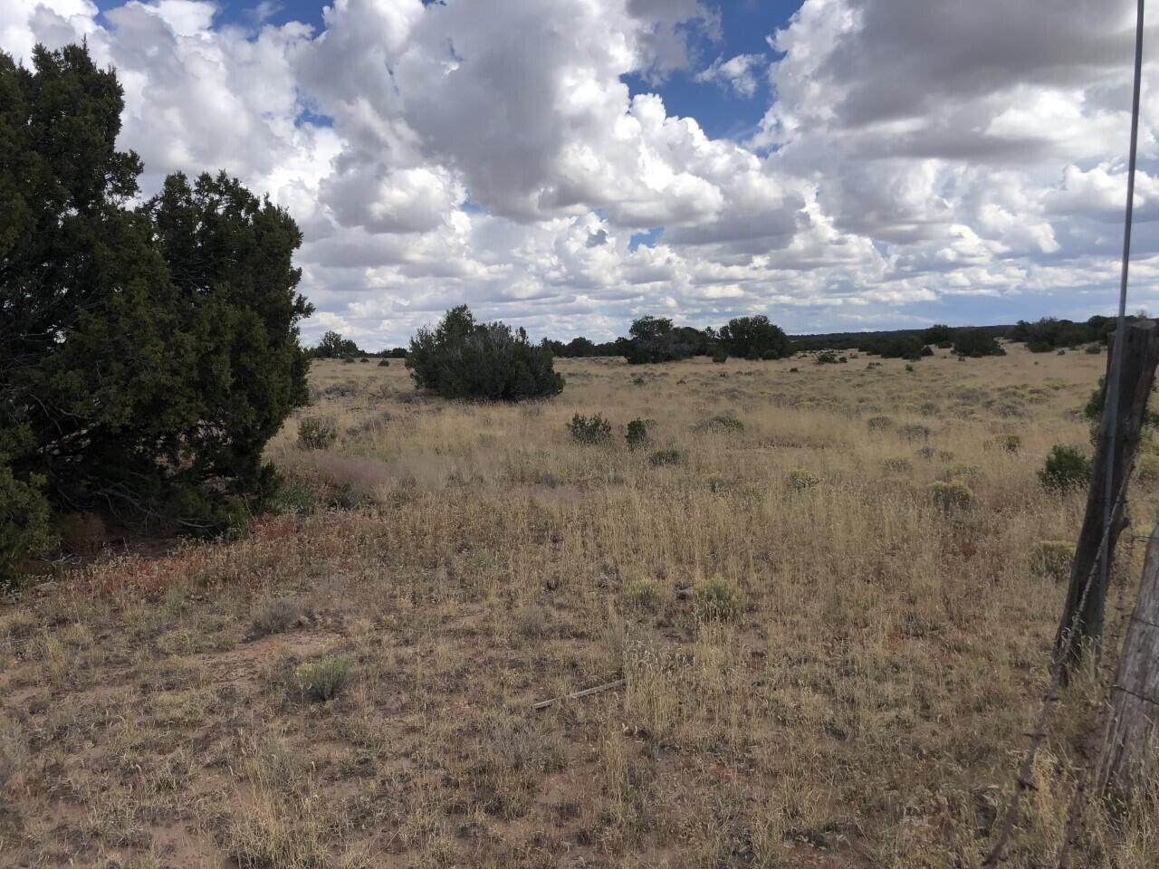   Off Hwy 36 Fence Lake Lot 60