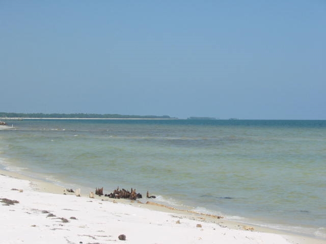 125 Bay Magnolia Court #1, Carrabelle, Florida image 3