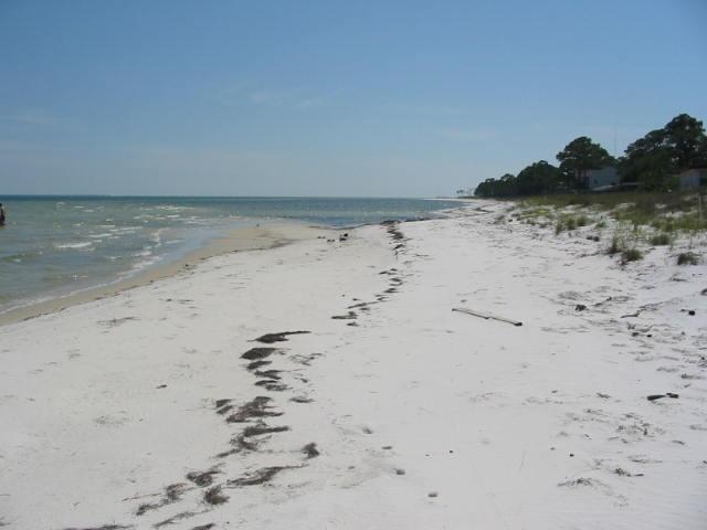 125 Bay Magnolia Court #1, Carrabelle, Florida image 4