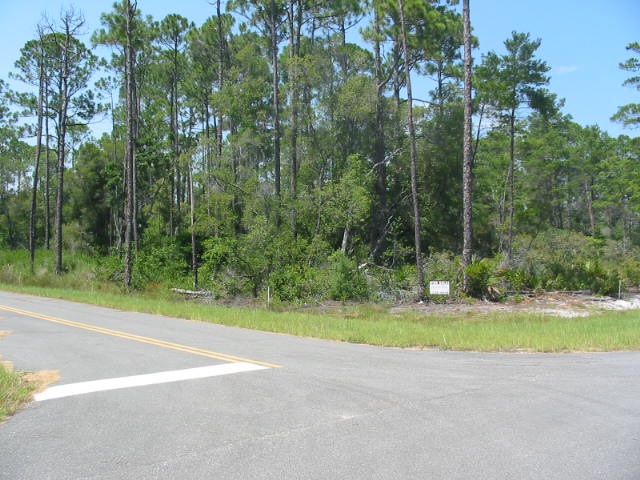 125 Bay Magnolia Court #1, Carrabelle, Florida image 5