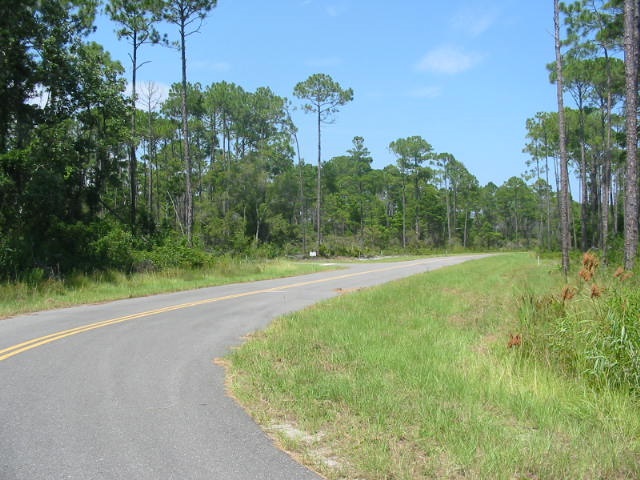 125 Bay Magnolia Court #1, Carrabelle, Florida image 6