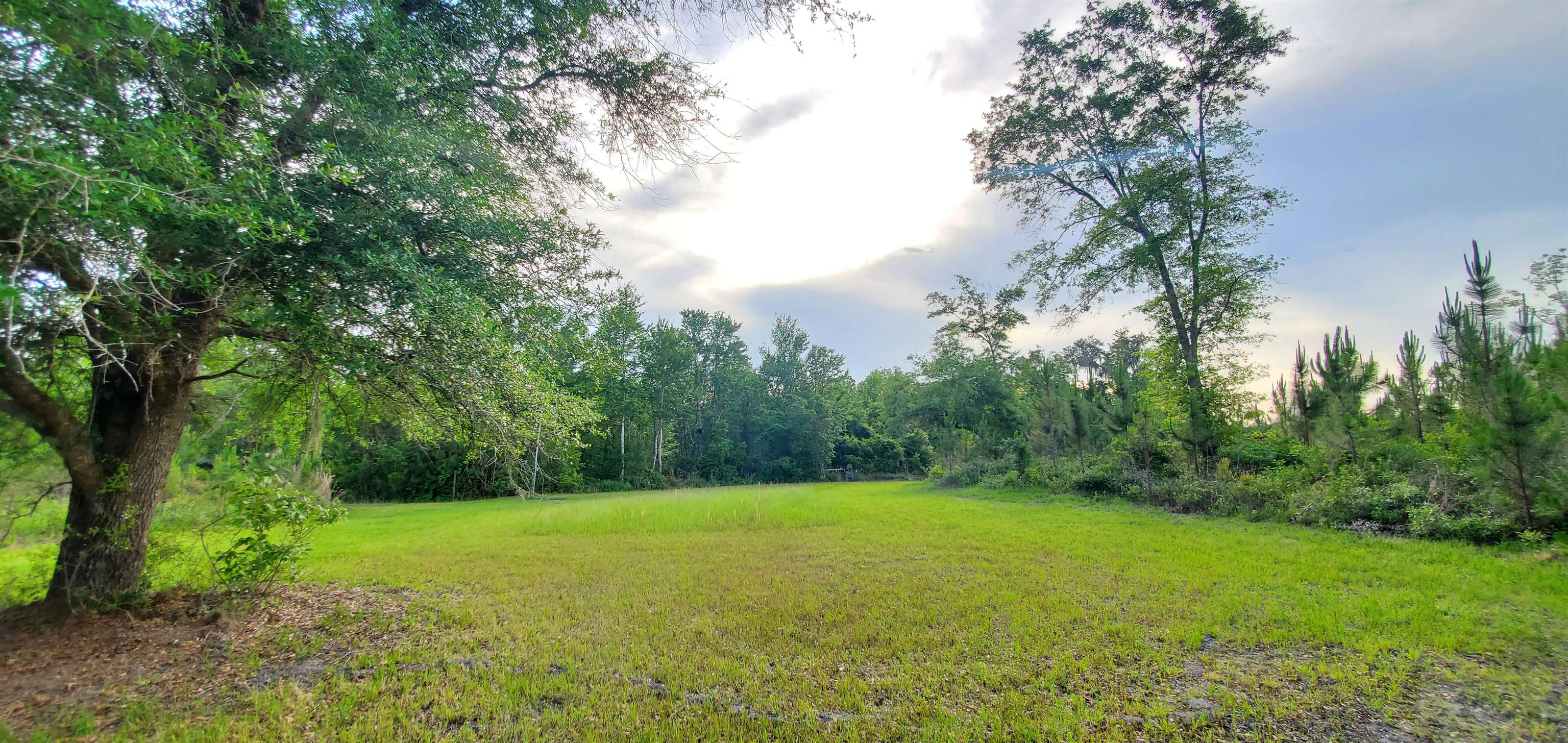 78.7 Acres SW Vacant Mt Gilead Road, GREENVILLE, Florida image 1