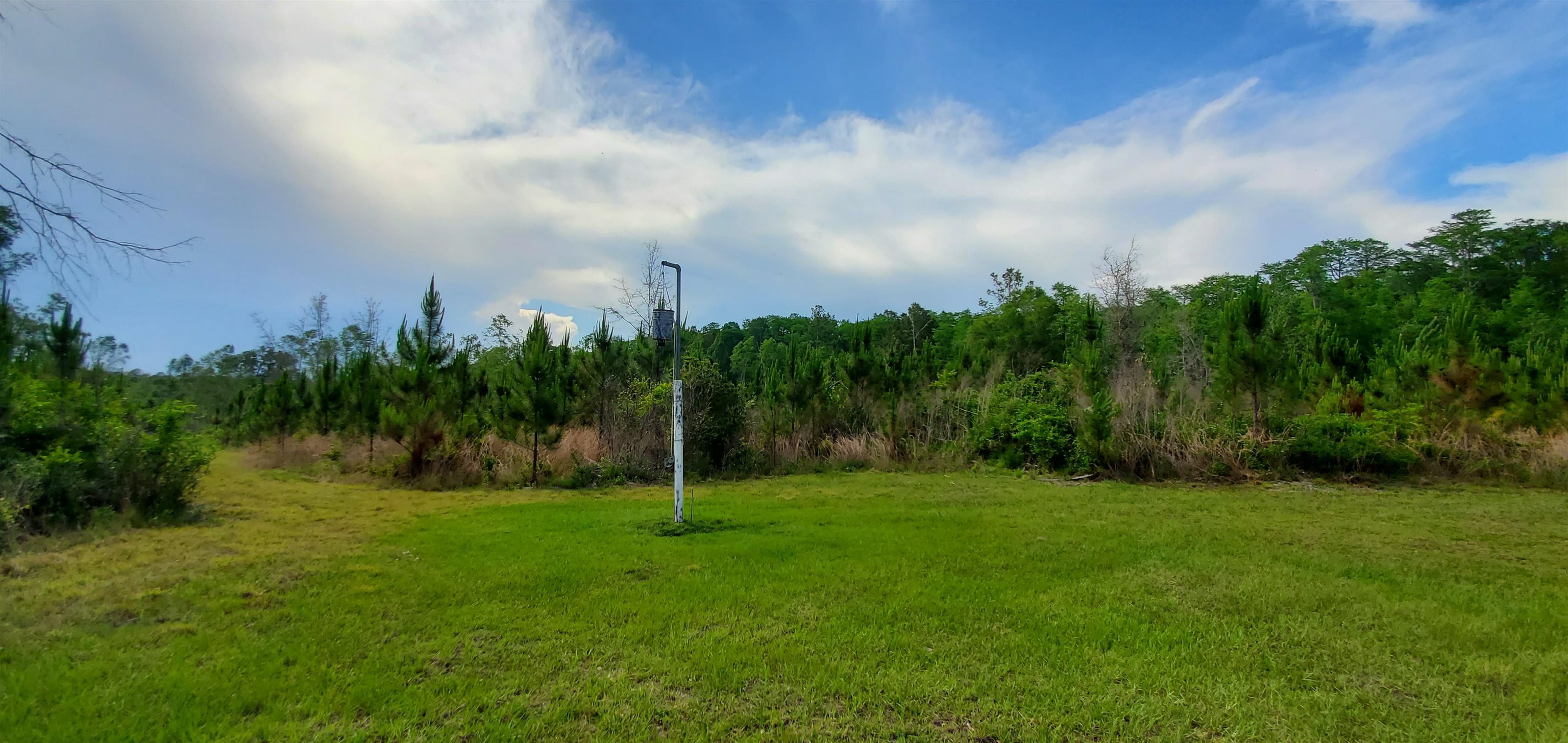 78.7 Acres SW Vacant Mt Gilead Road, GREENVILLE, Florida image 13