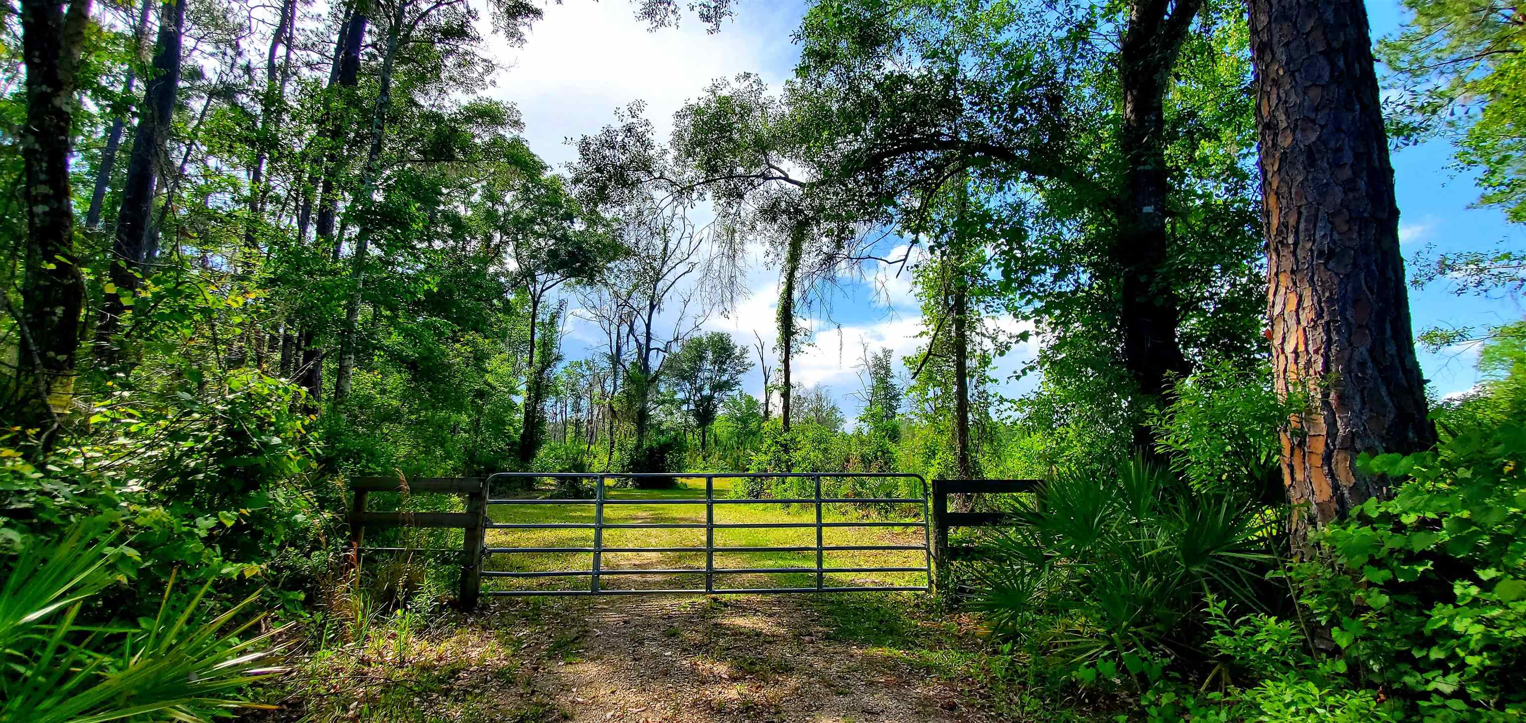 78.7 Acres SW Vacant Mt Gilead Road, GREENVILLE, Florida image 30