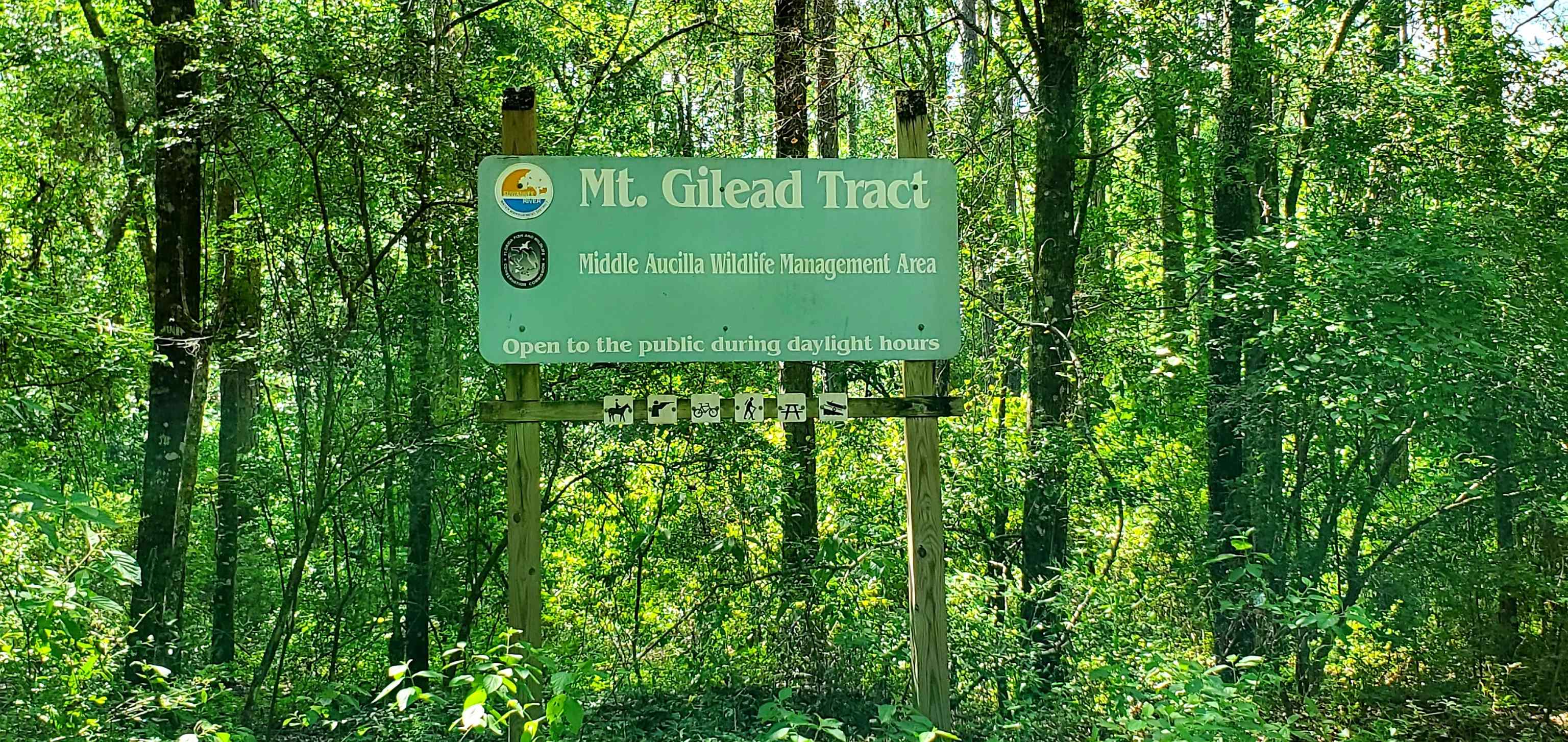 78.7 Acres SW Vacant Mt Gilead Road, GREENVILLE, Florida image 32