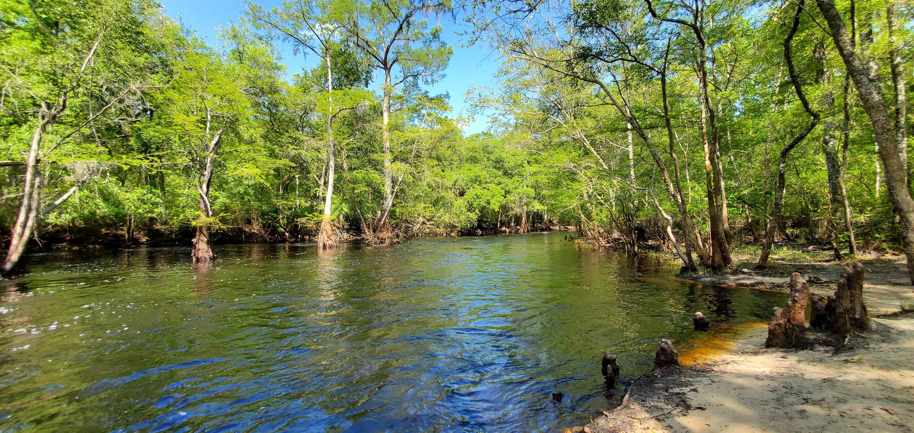 78.7 Acres SW Vacant Mt Gilead Road, GREENVILLE, Florida image 33