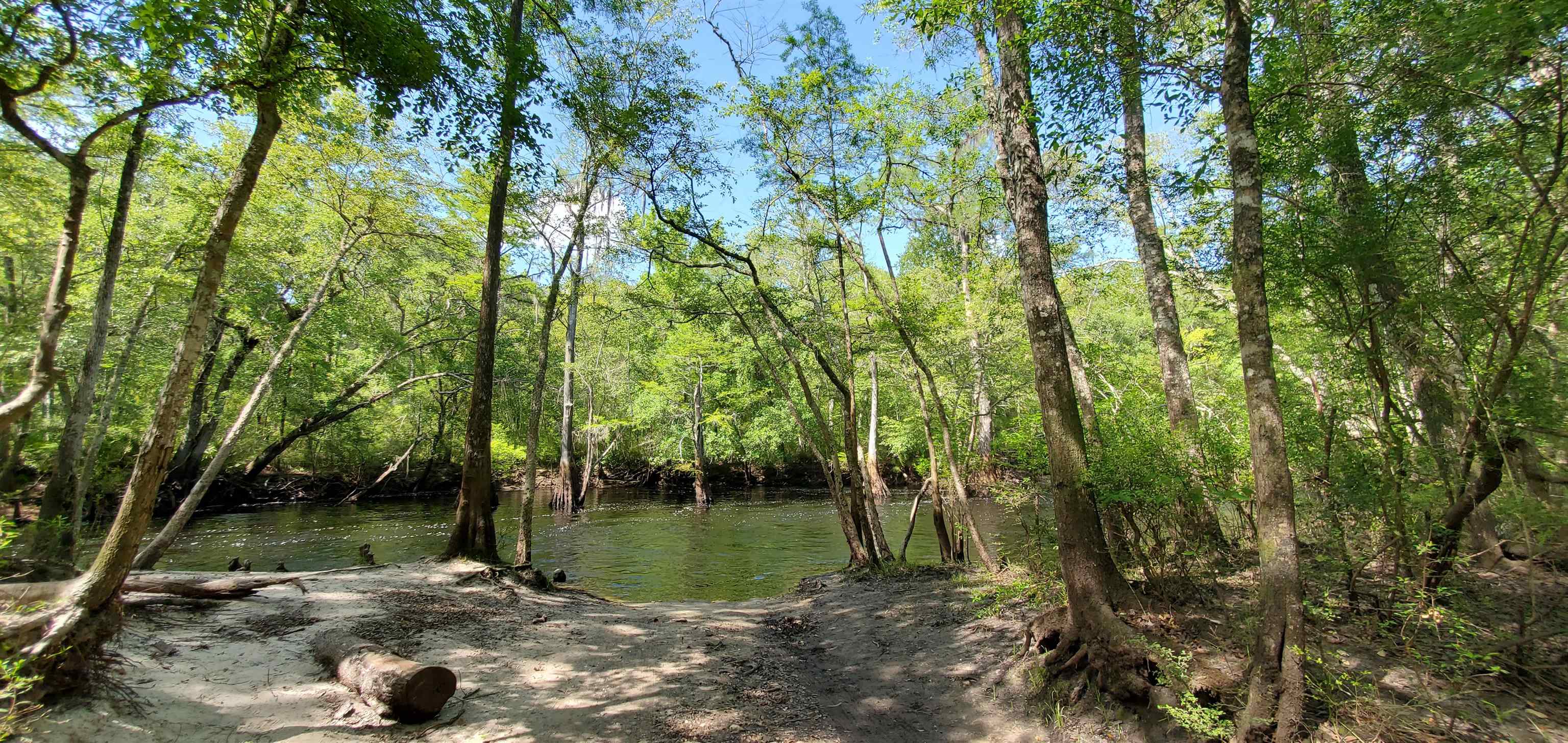 78.7 Acres SW Vacant Mt Gilead Road, GREENVILLE, Florida image 34