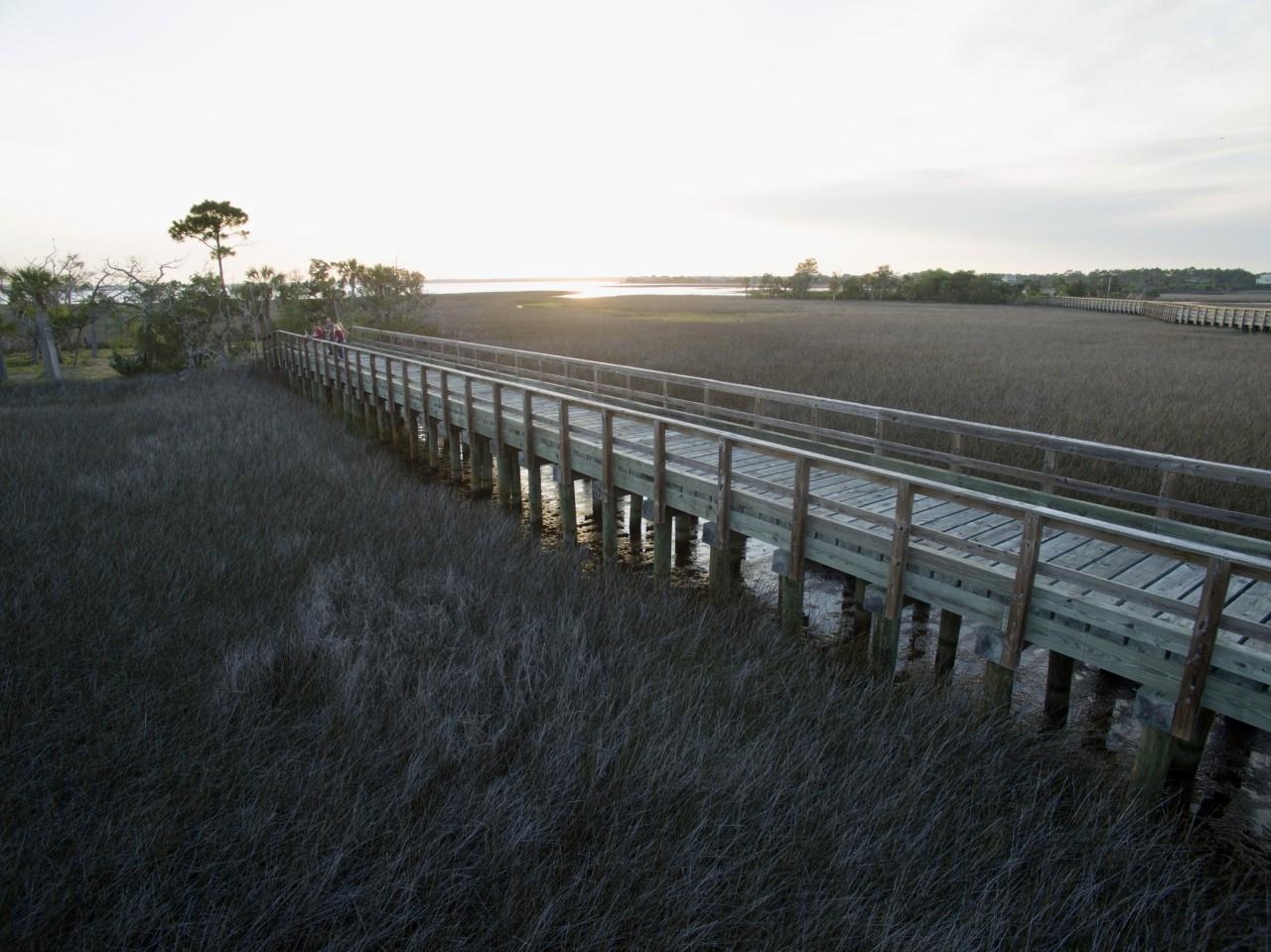 46 Cedar Island Way, Crawfordville, Florida image 13