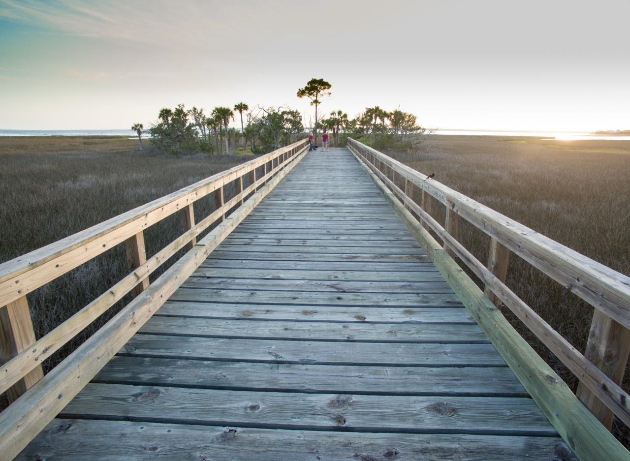 46 Cedar Island Way, Crawfordville, Florida image 14
