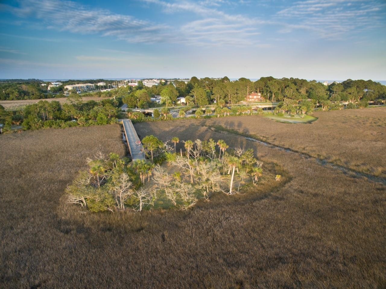 46 Cedar Island Way, Crawfordville, Florida image 4