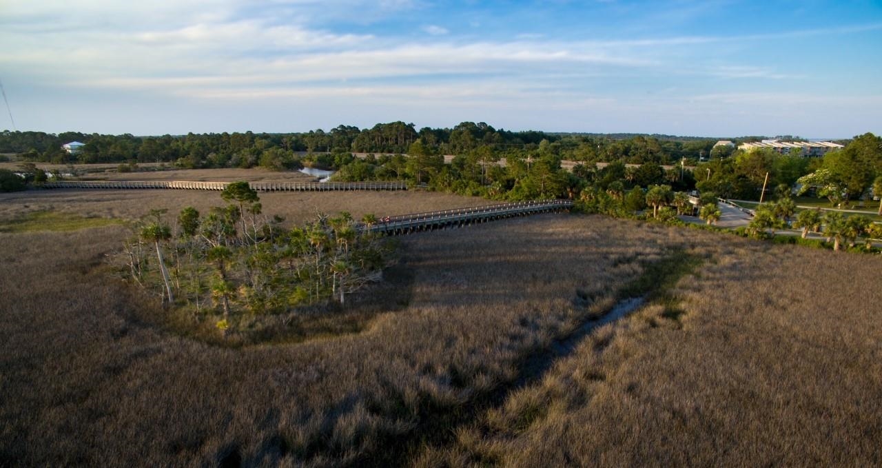 46 Cedar Island Way, Crawfordville, Florida image 5